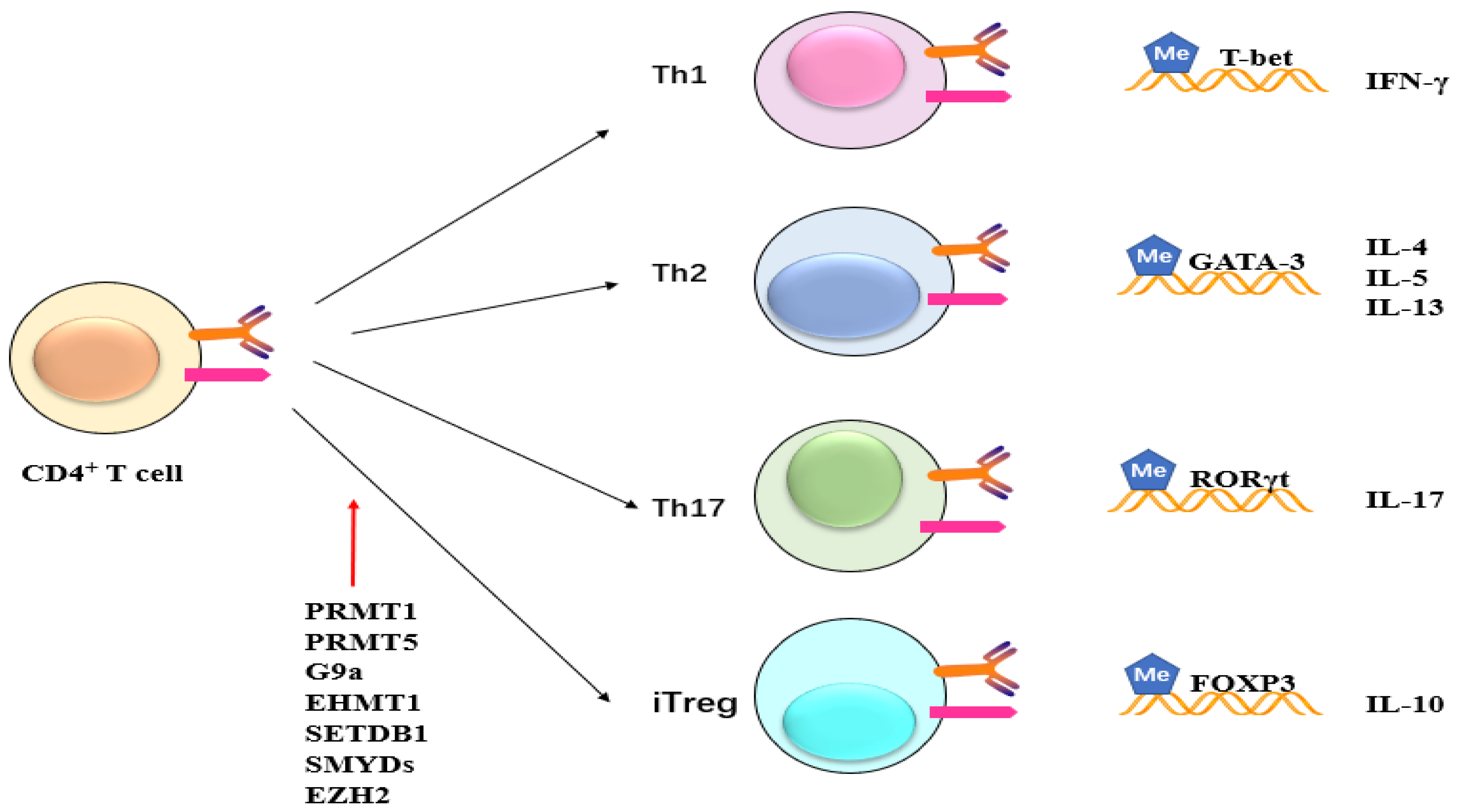 Molecules 29 00360 g007