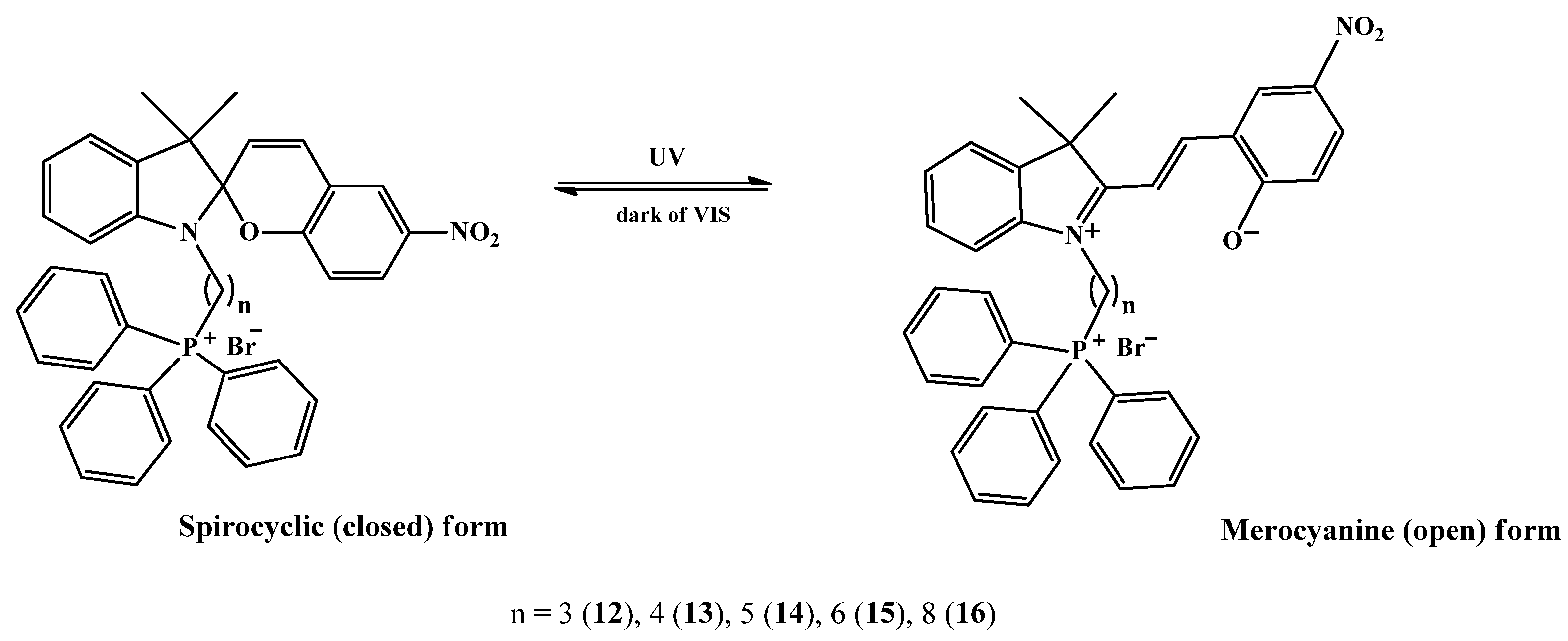 Molecules 29 00368 sch002