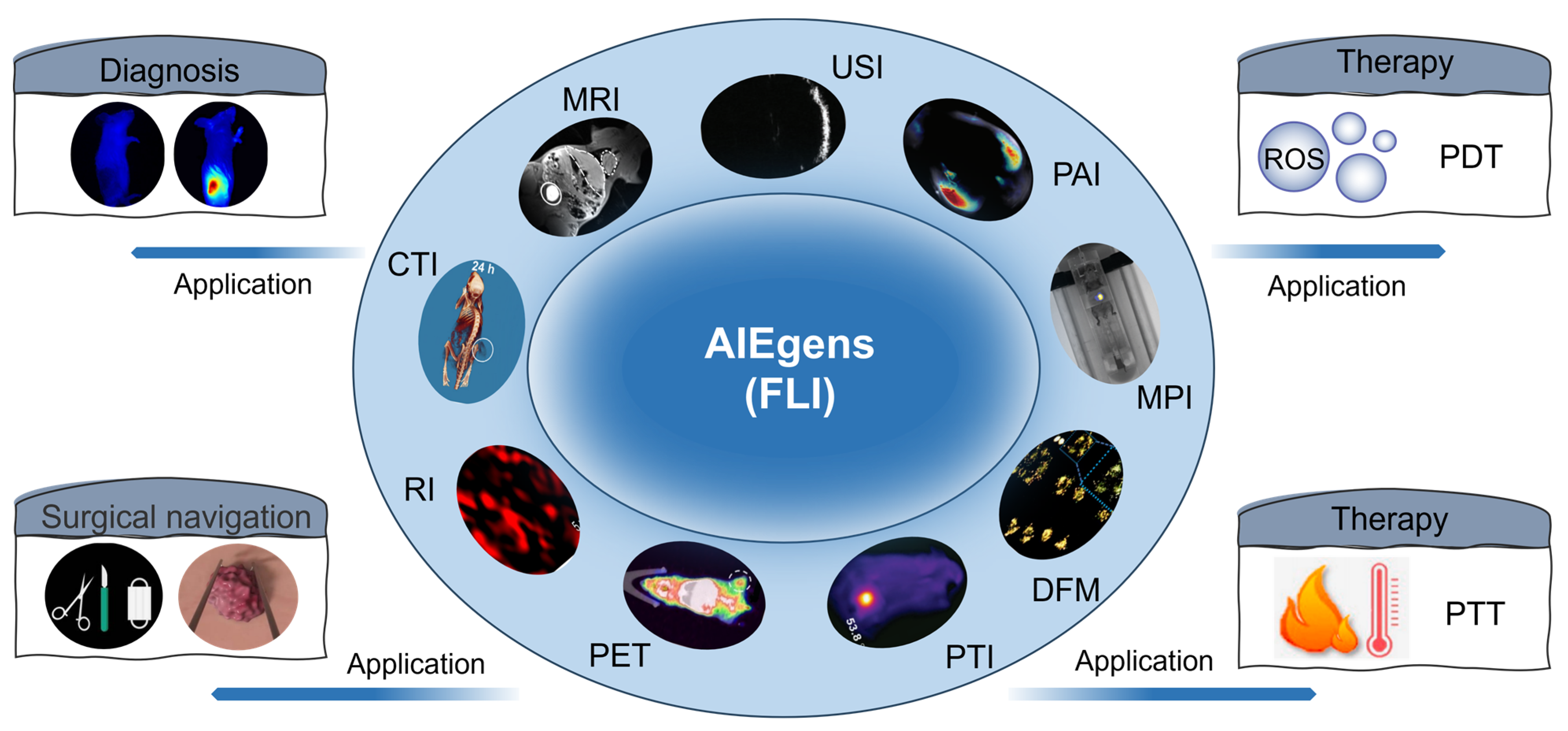 Molecules 29 00371 g001