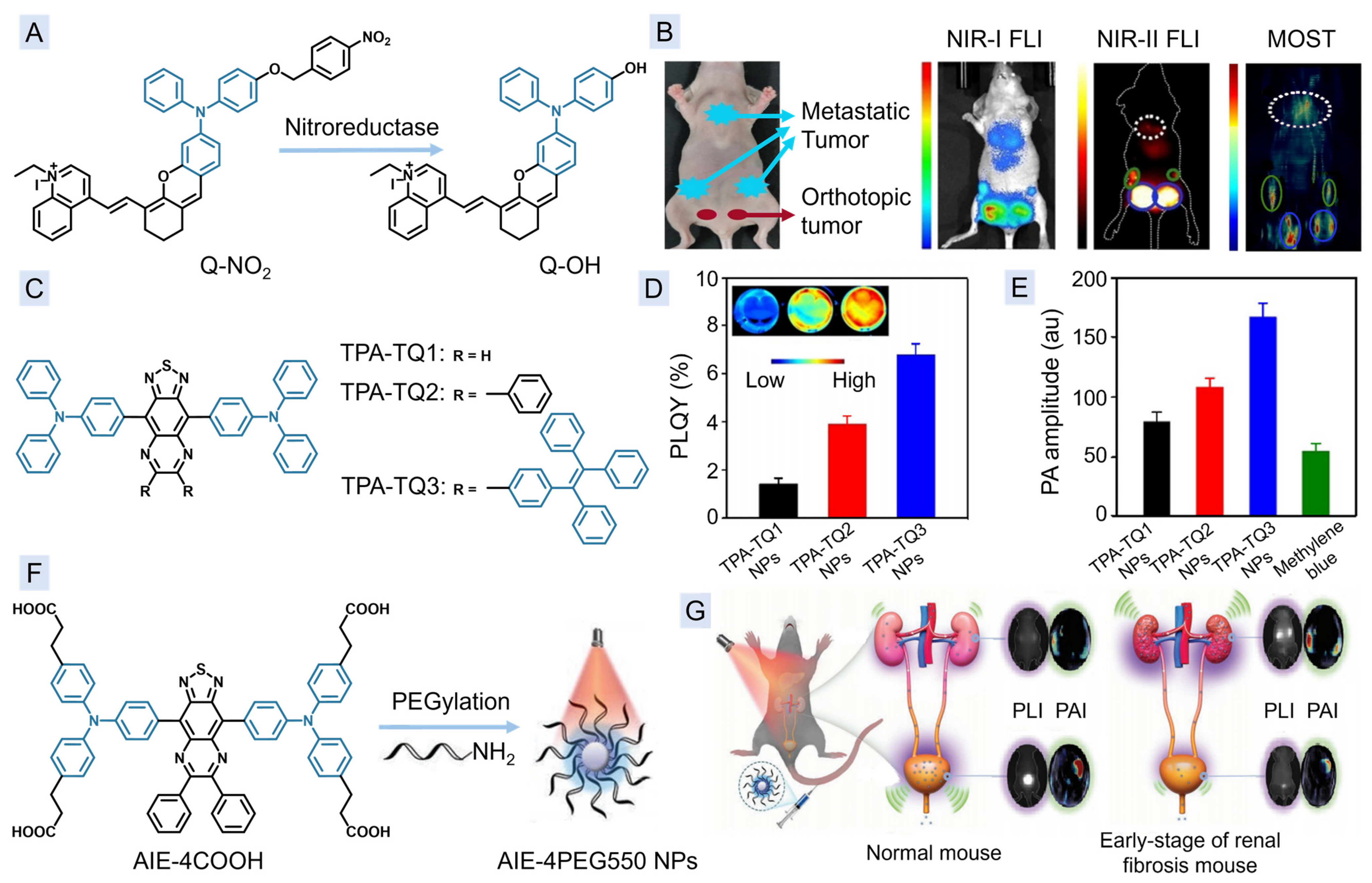 Molecules 29 00371 g003
