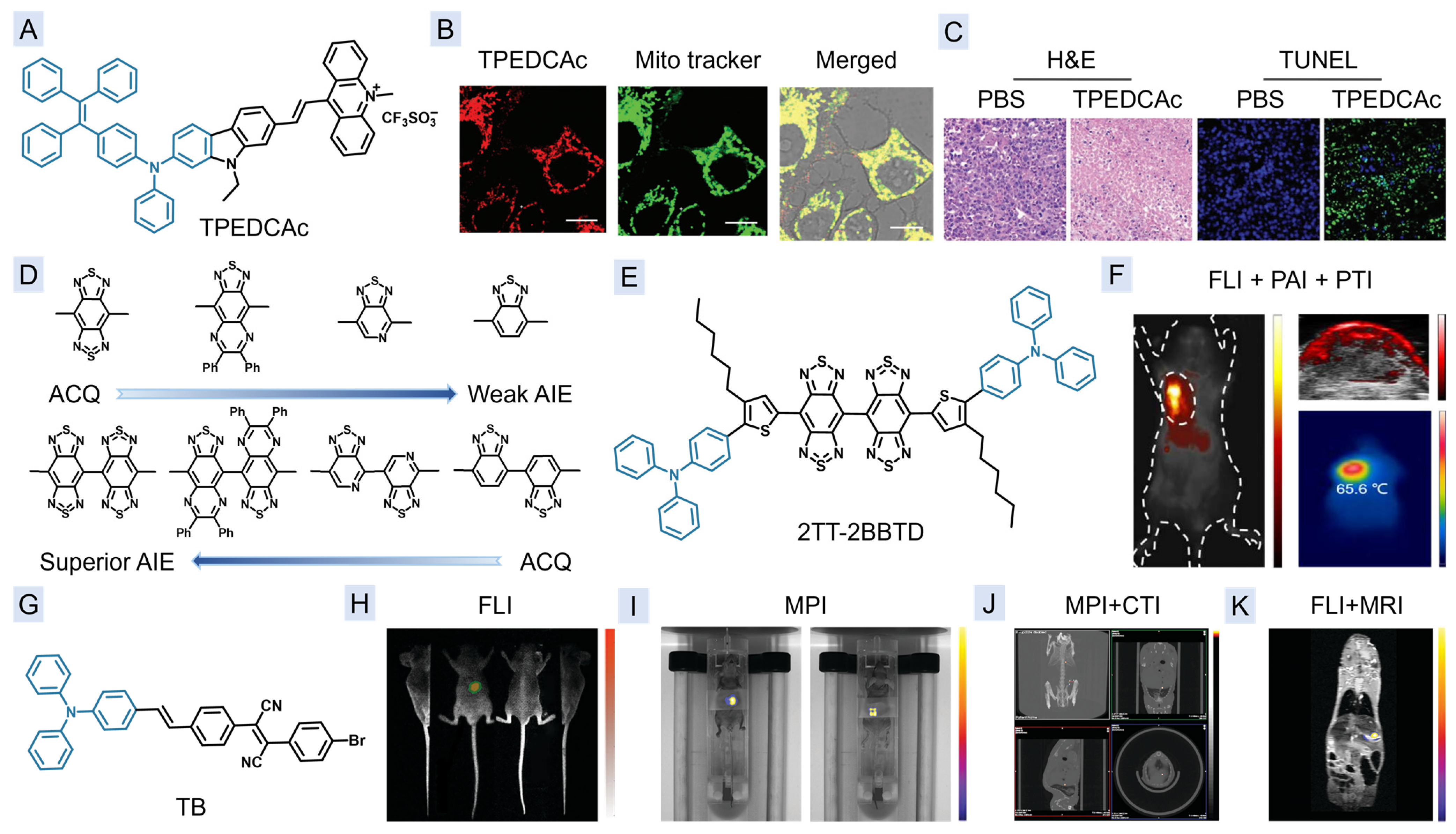 Molecules 29 00371 g006