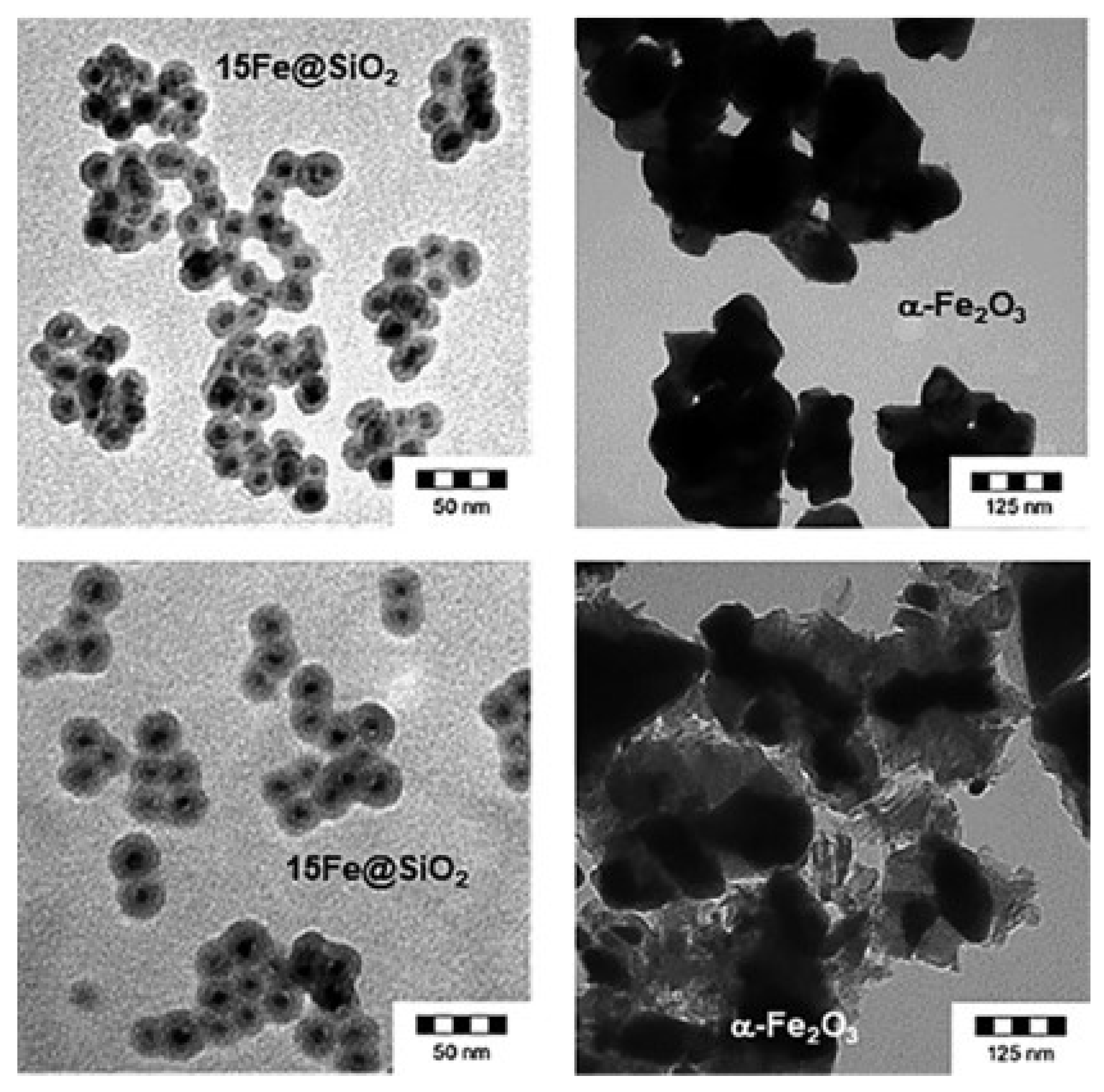 Molecules 29 00374 g016