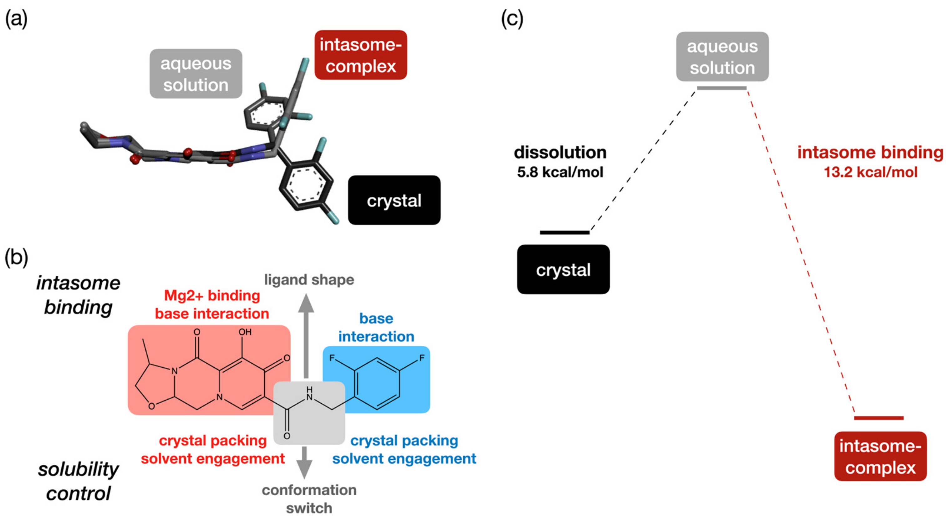 Molecules 29 00376 g004