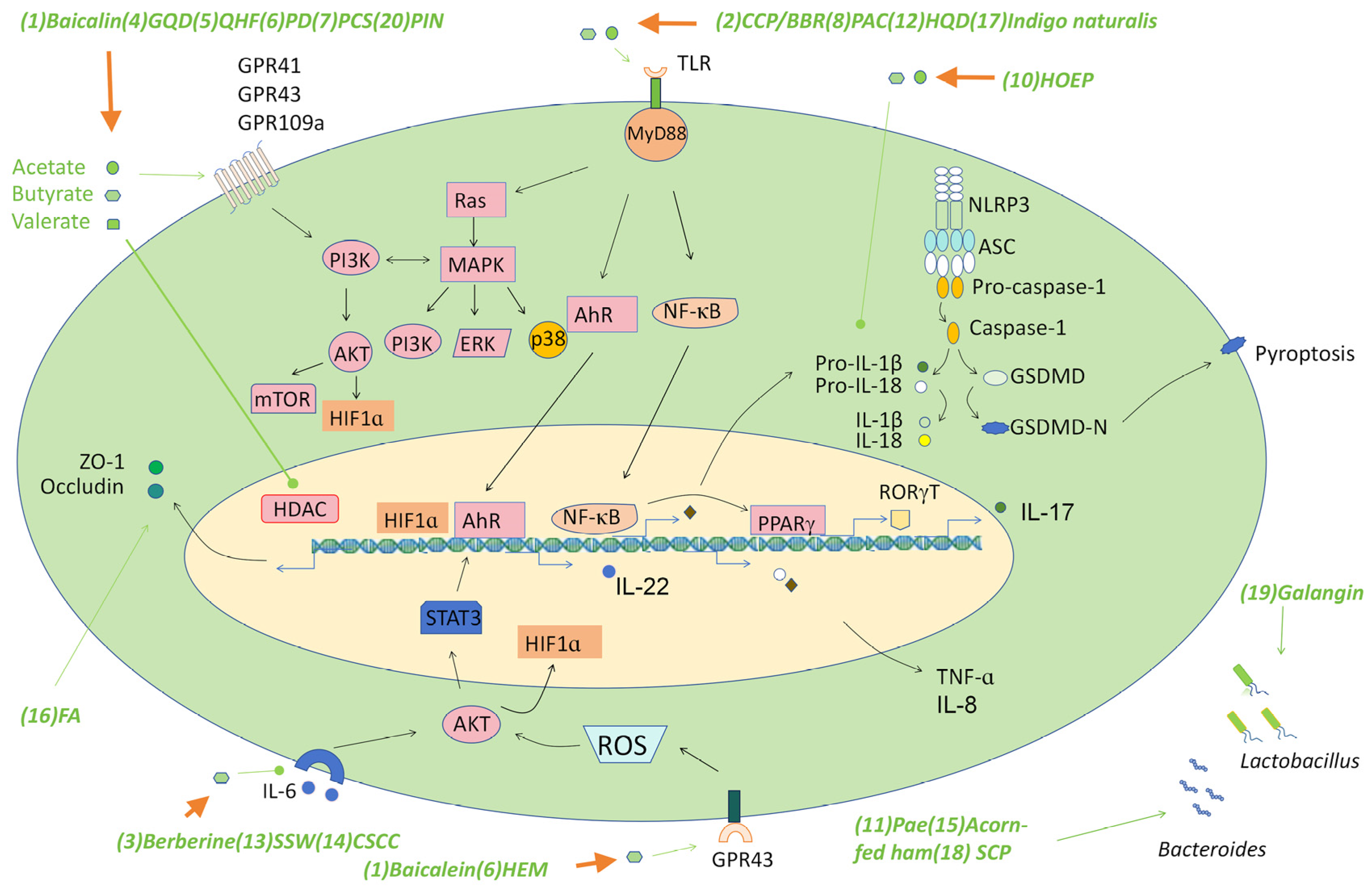 Molecules 29 00379 g002