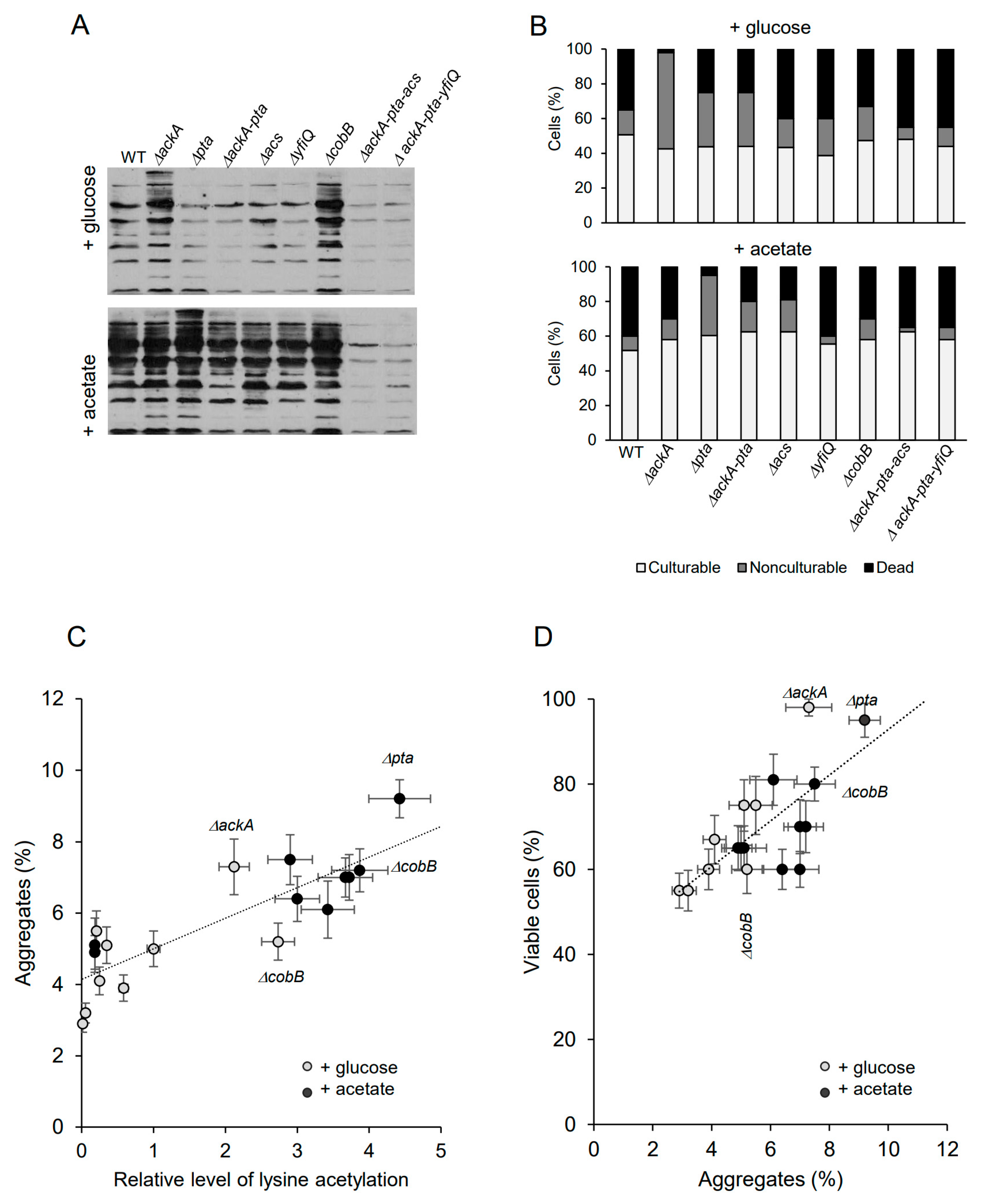 Molecules 29 00383 g002
