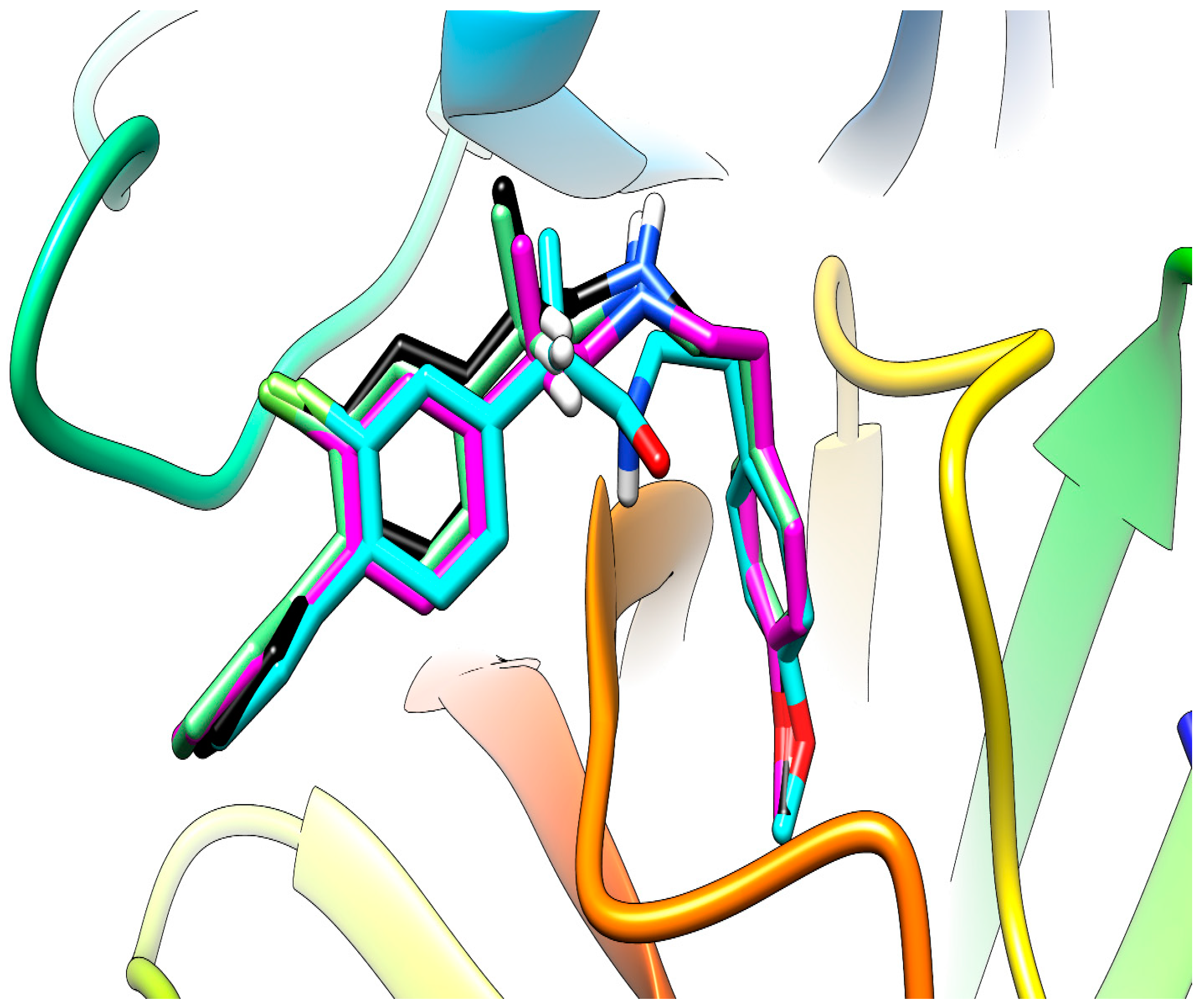 Molecules 29 00385 g004