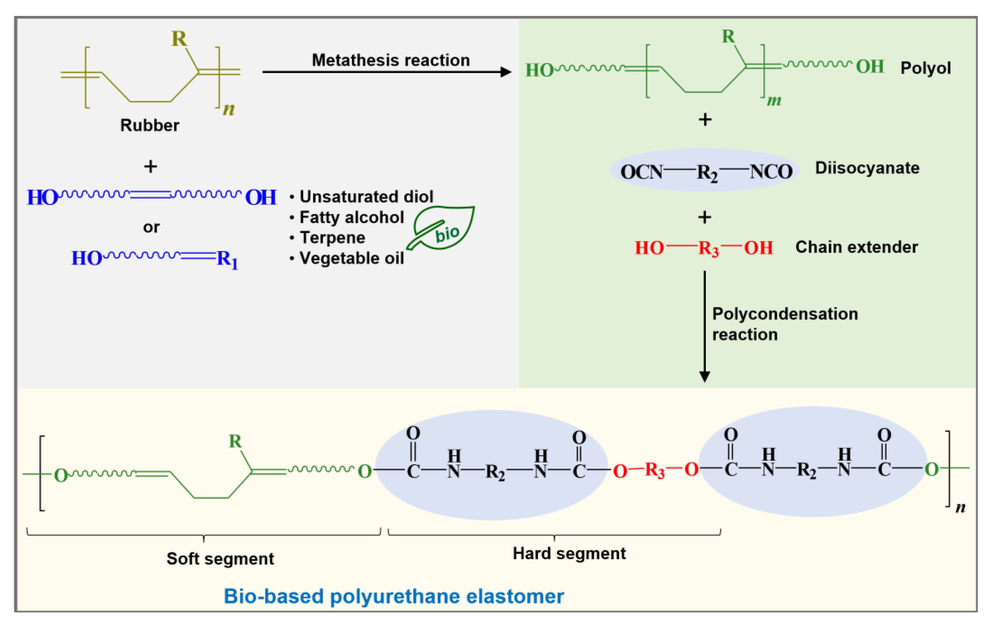 Molecules 29 00387 g005