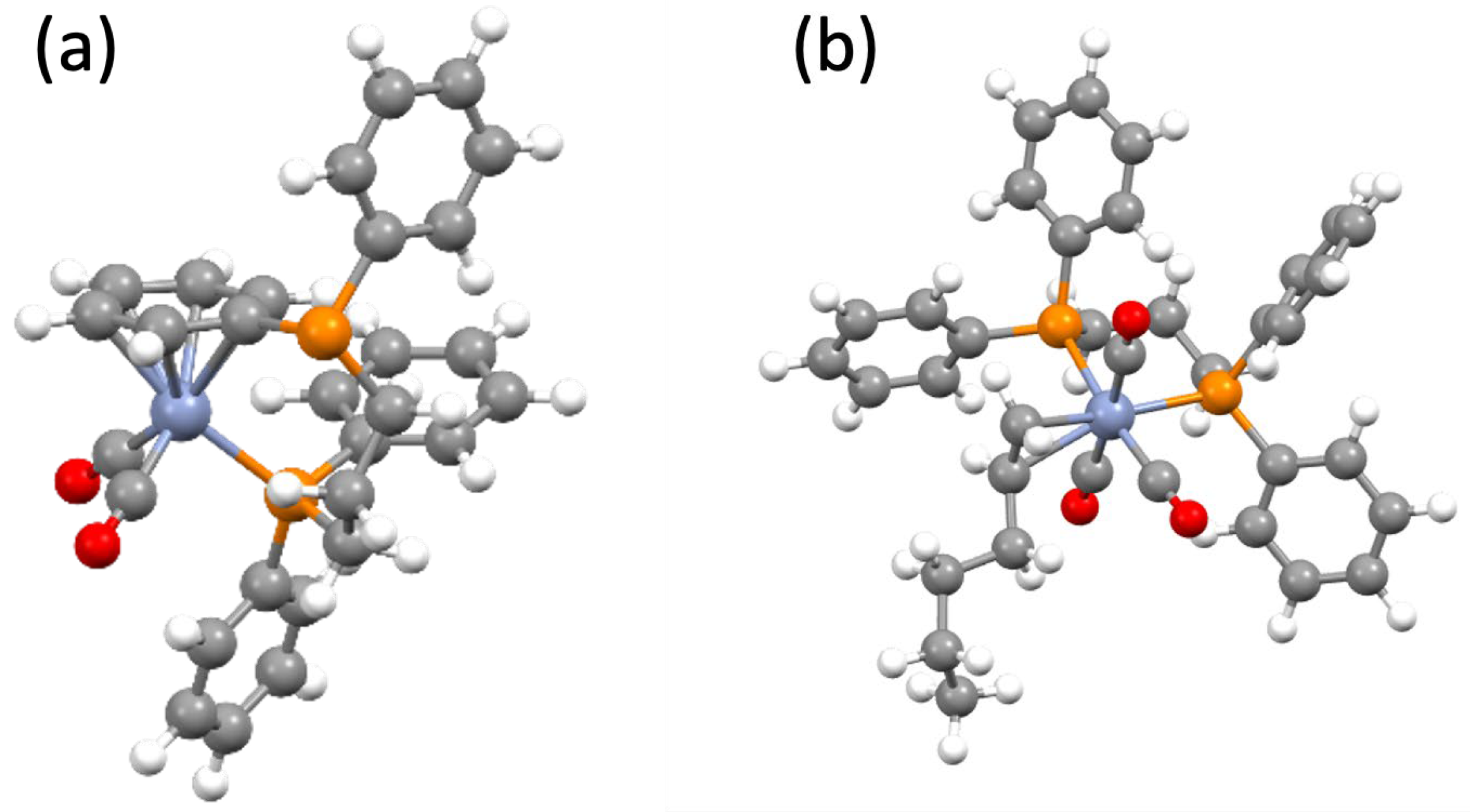 Molecules 29 00392 g005