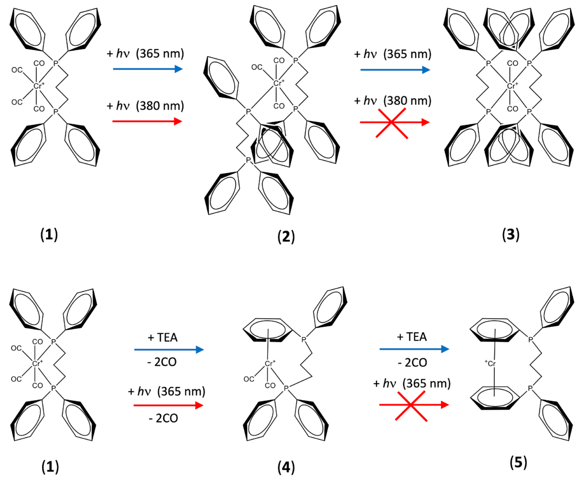 Molecules 29 00392 sch001