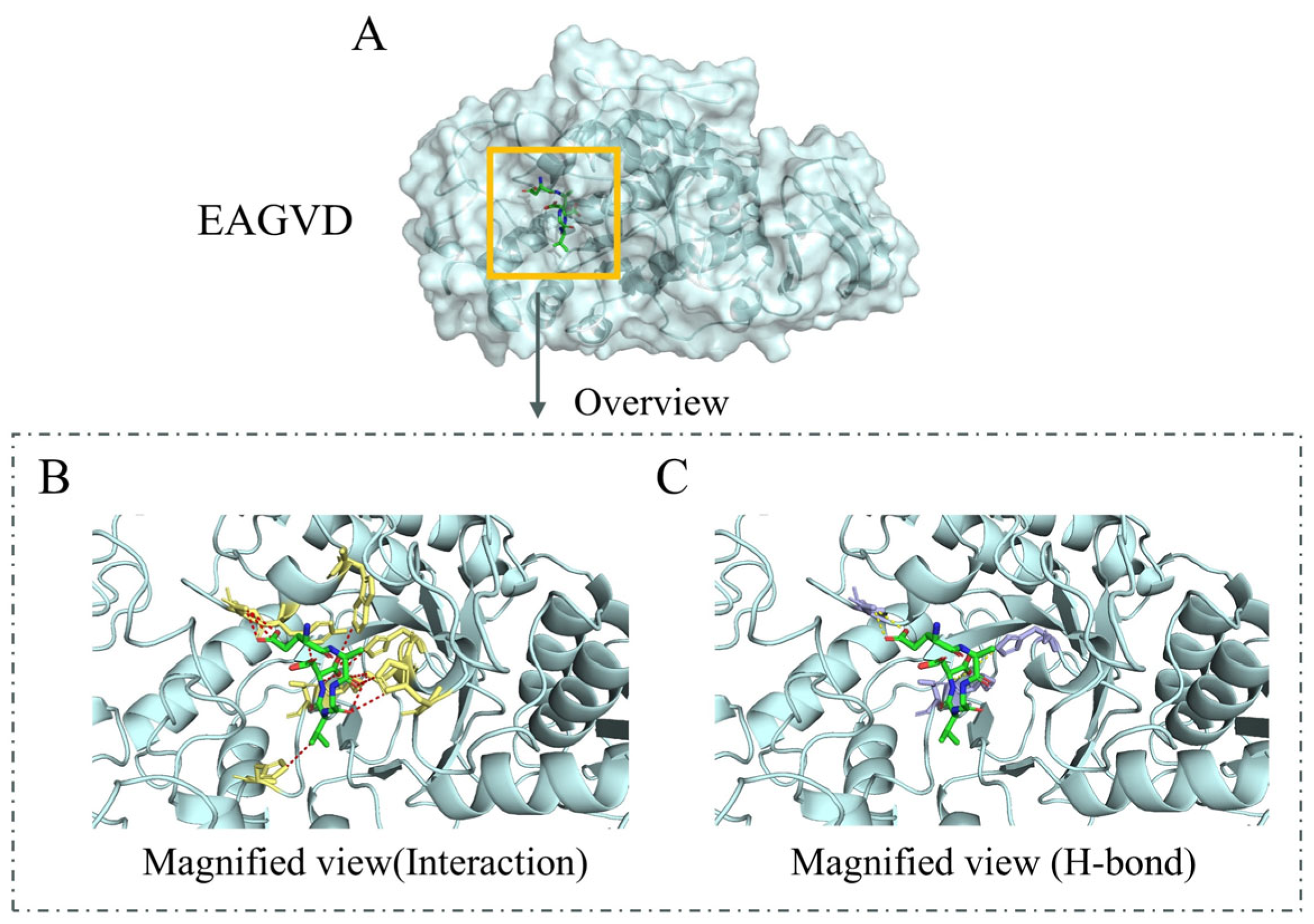 Molecules 29 00395 g002