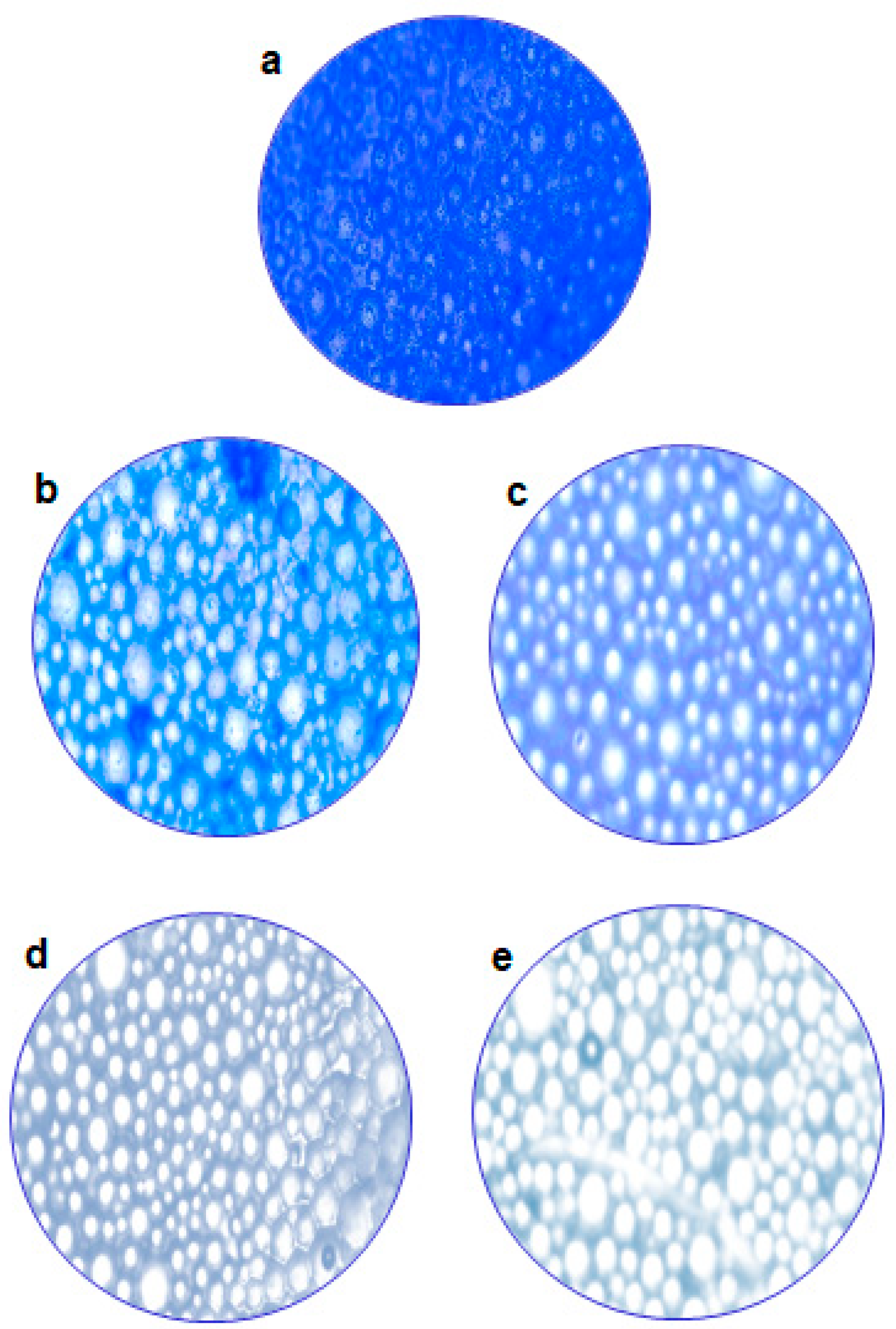 Molecules 29 00397 g007
