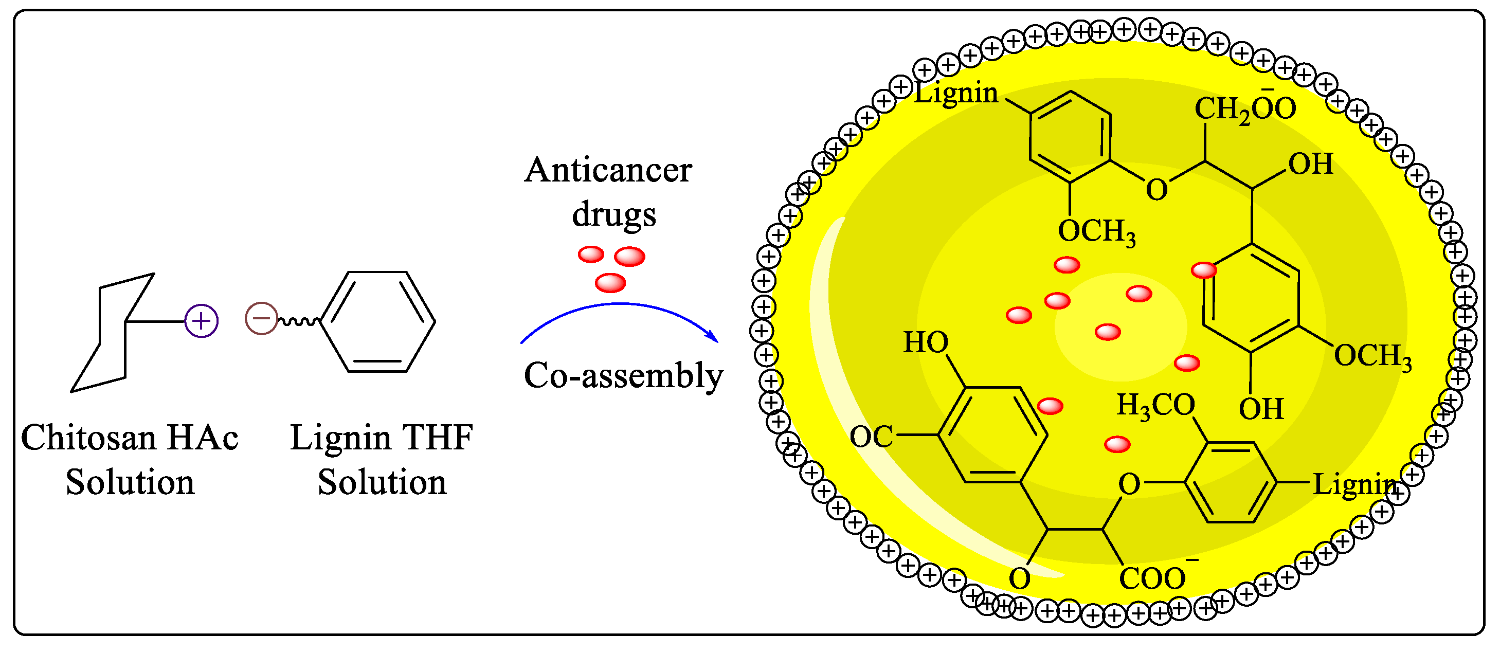 Molecules 29 00398 g002