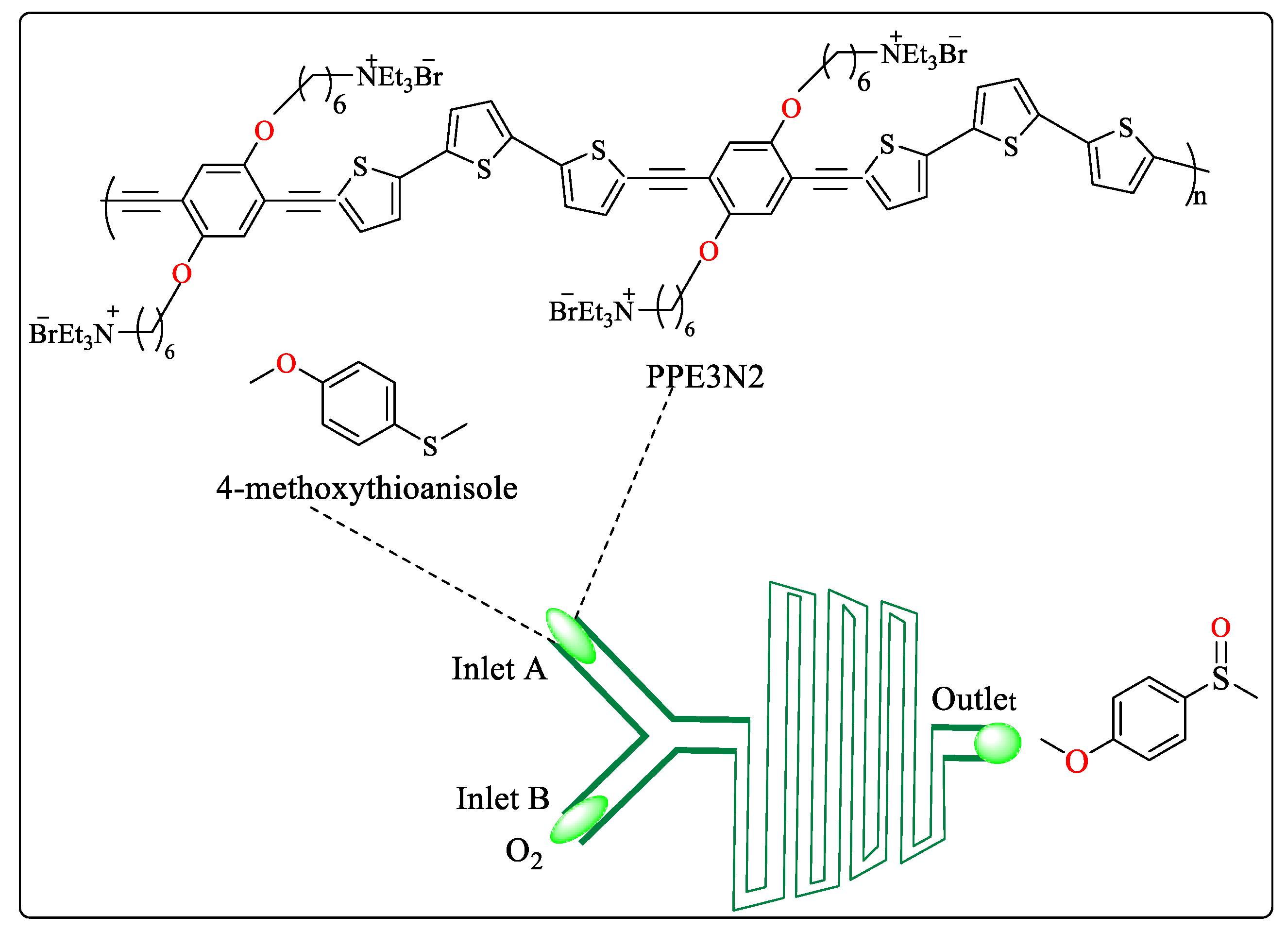 Molecules 29 00398 g004