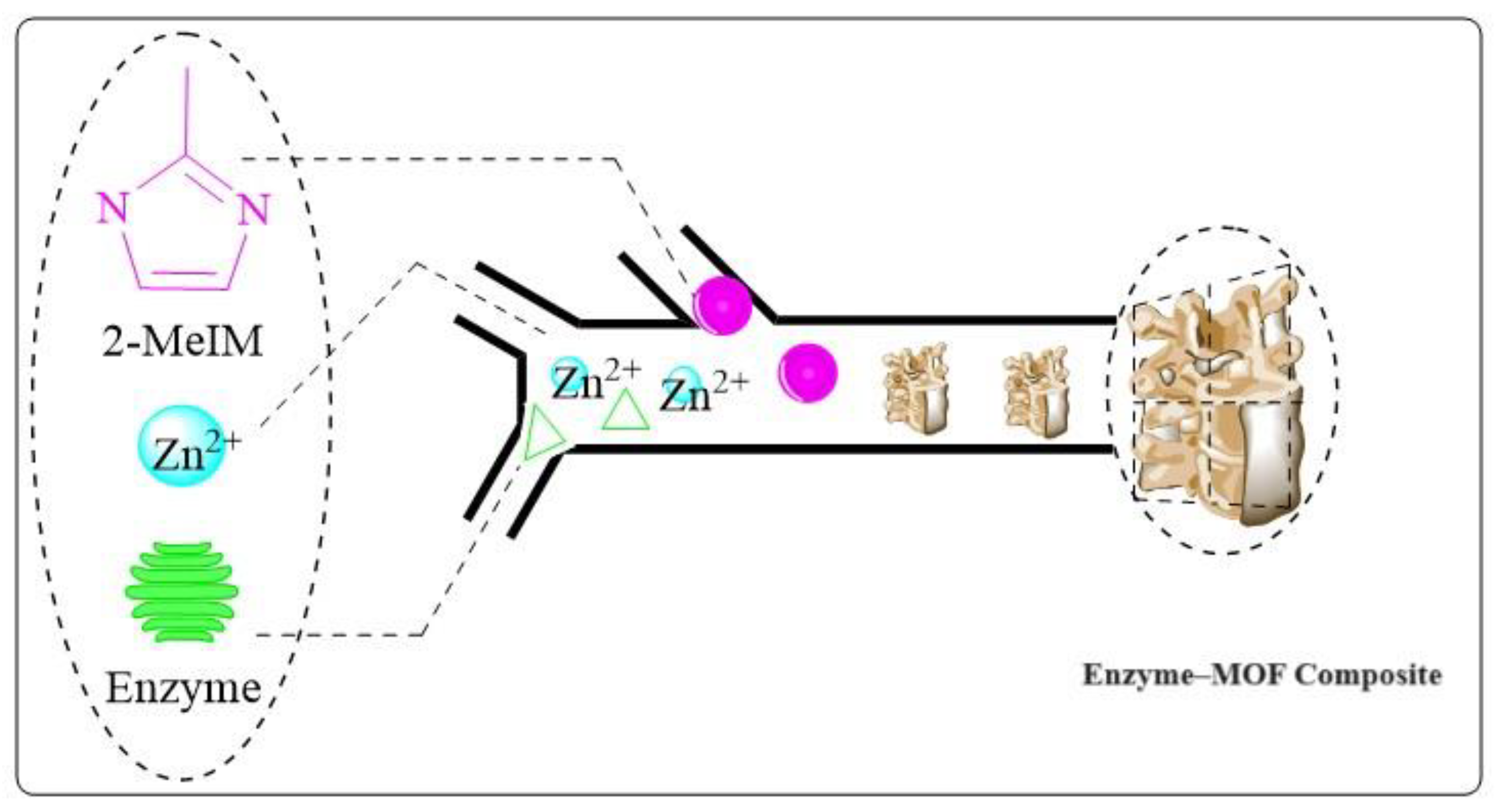 Molecules 29 00398 g005