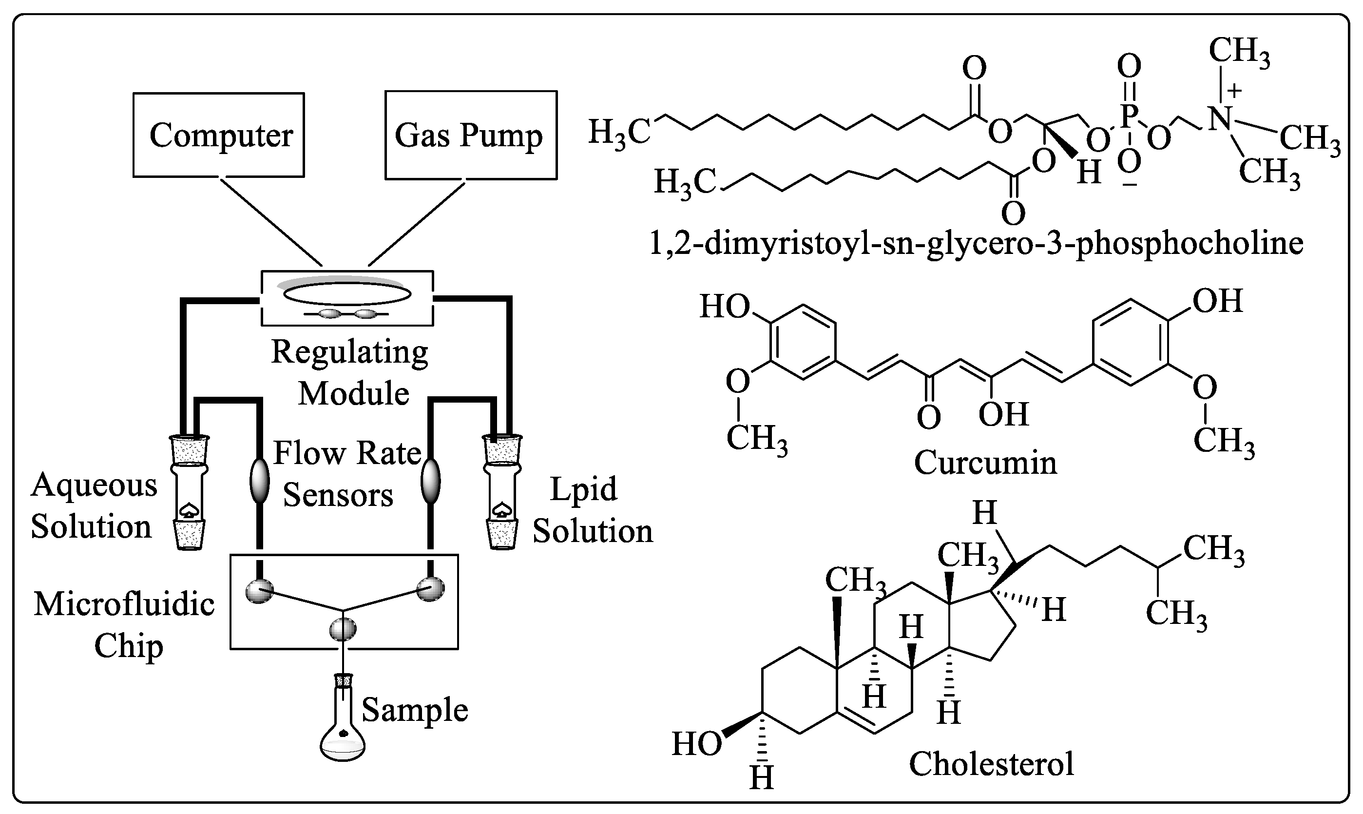 Molecules 29 00398 g006