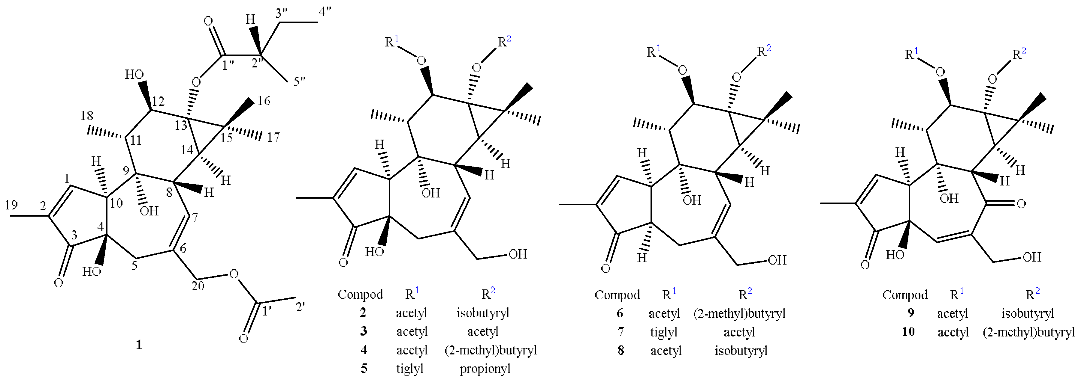 Molecules 29 00401 g003