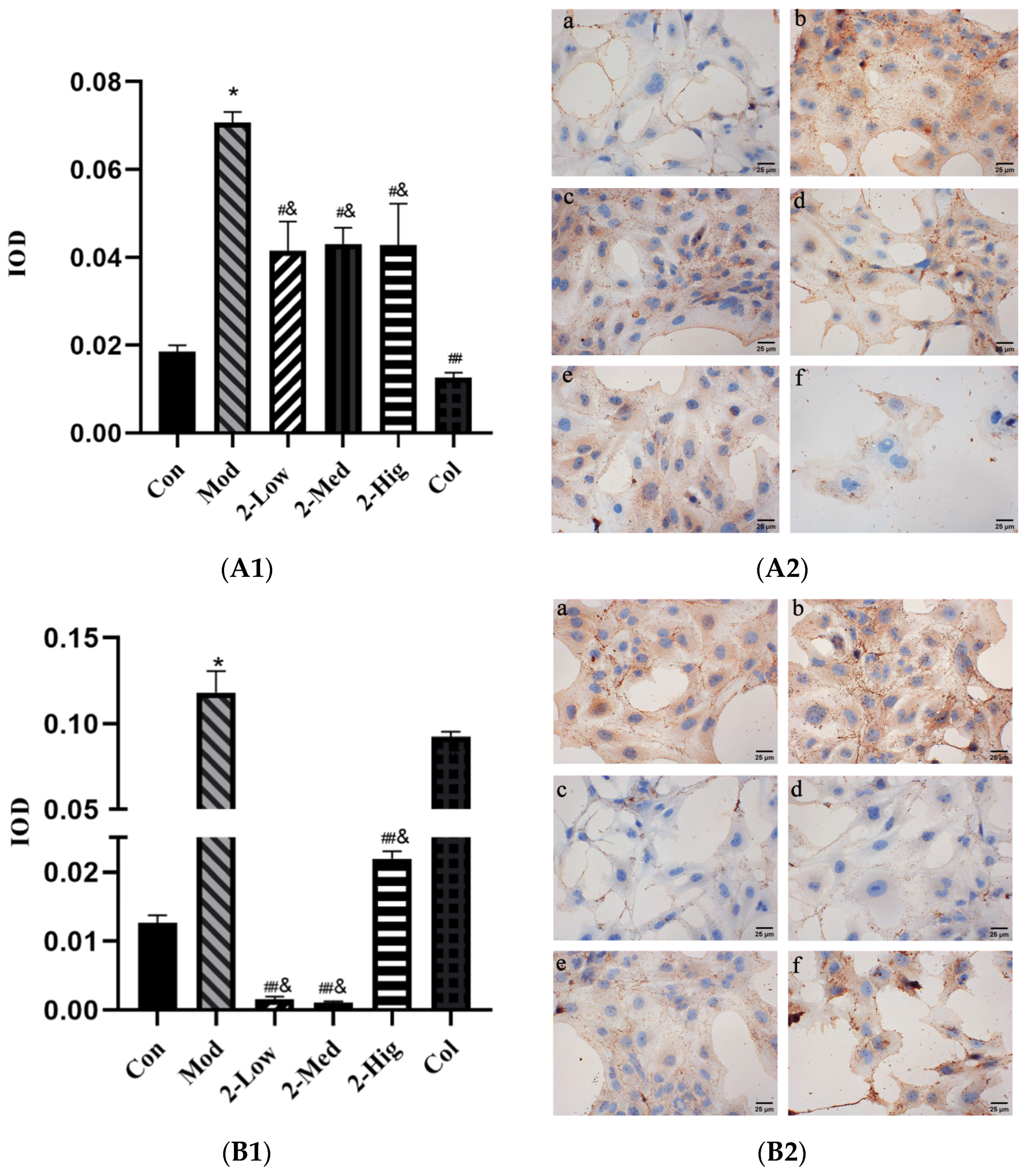 Molecules 29 00401 g011a