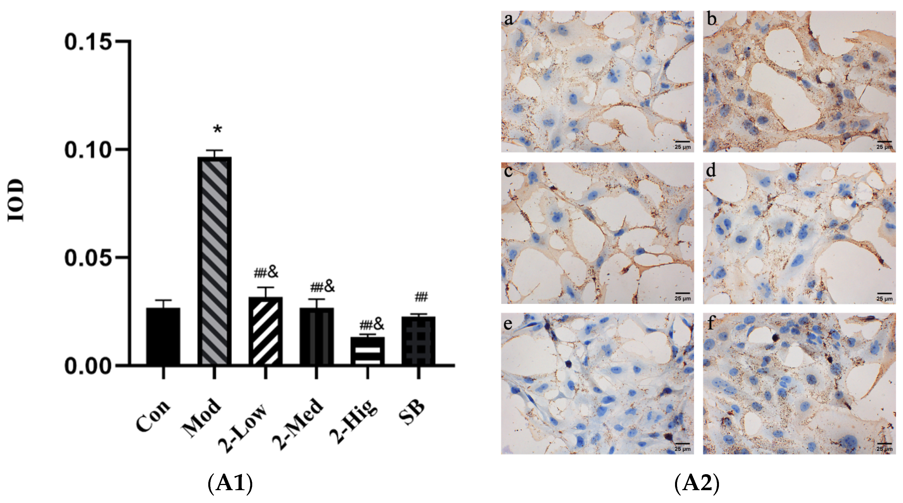 Molecules 29 00401 g014a