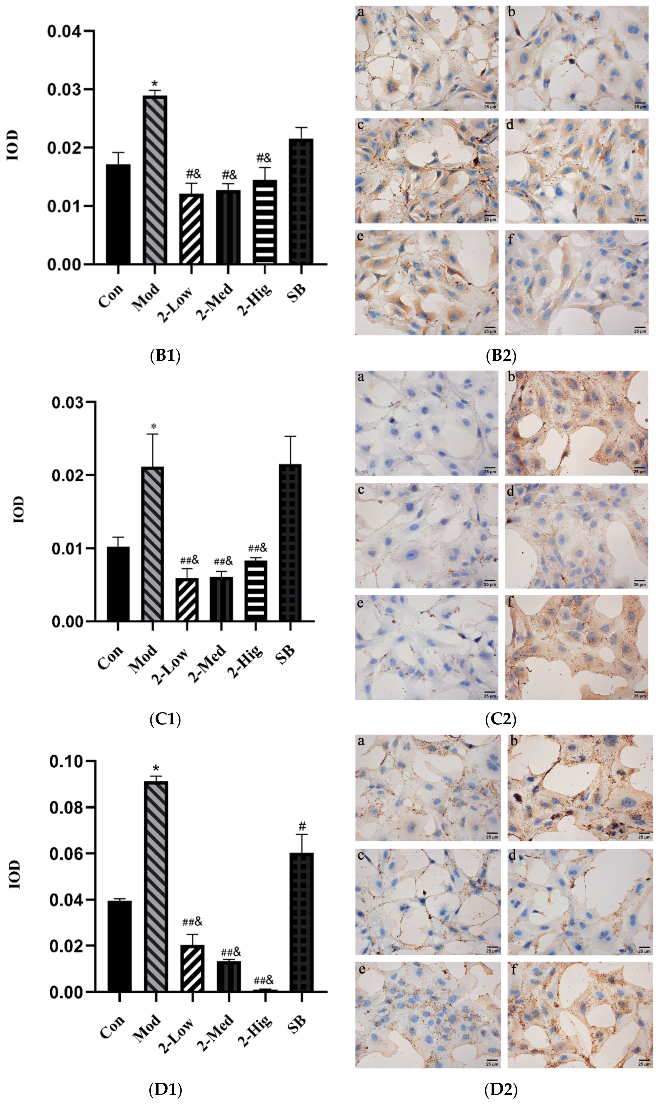 Molecules 29 00401 g014b