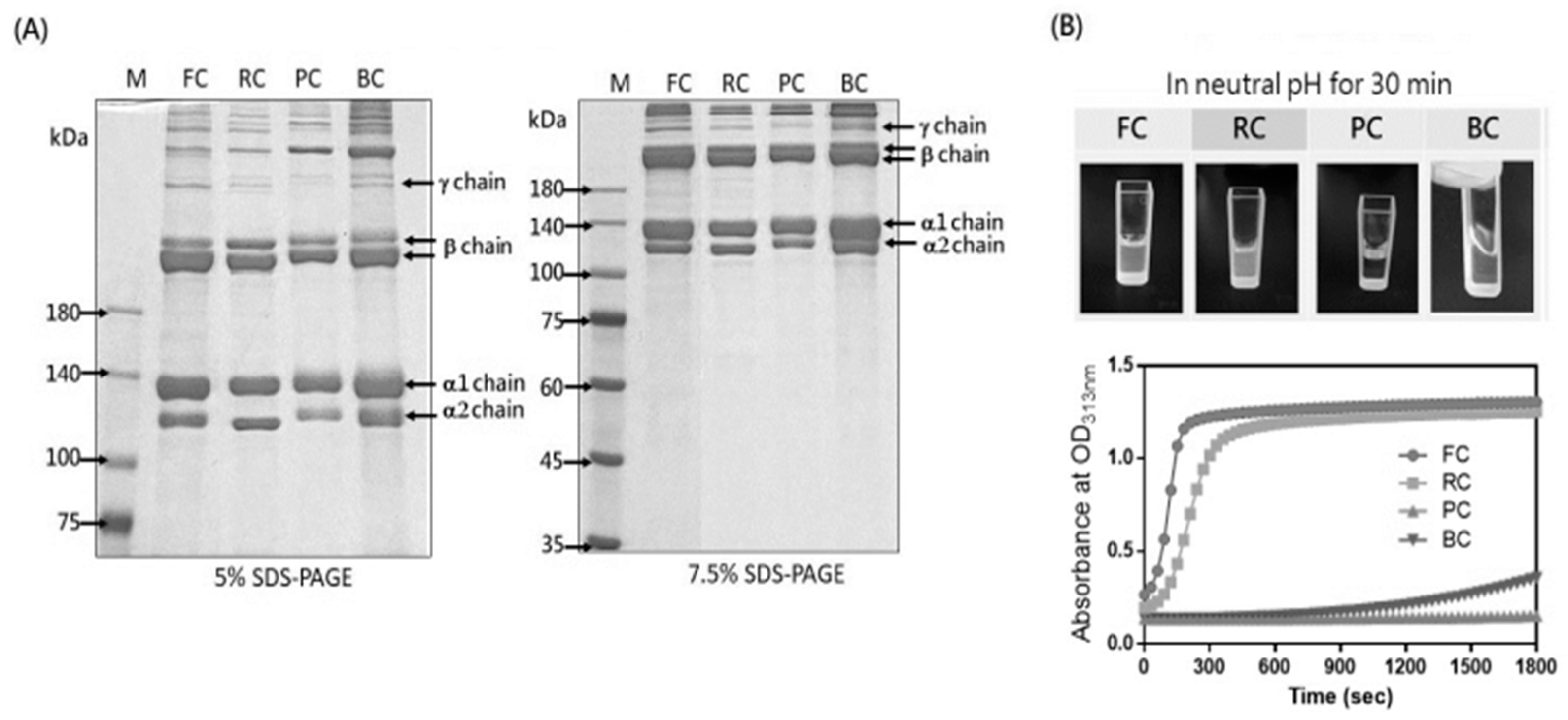 Molecules 29 00402 g001