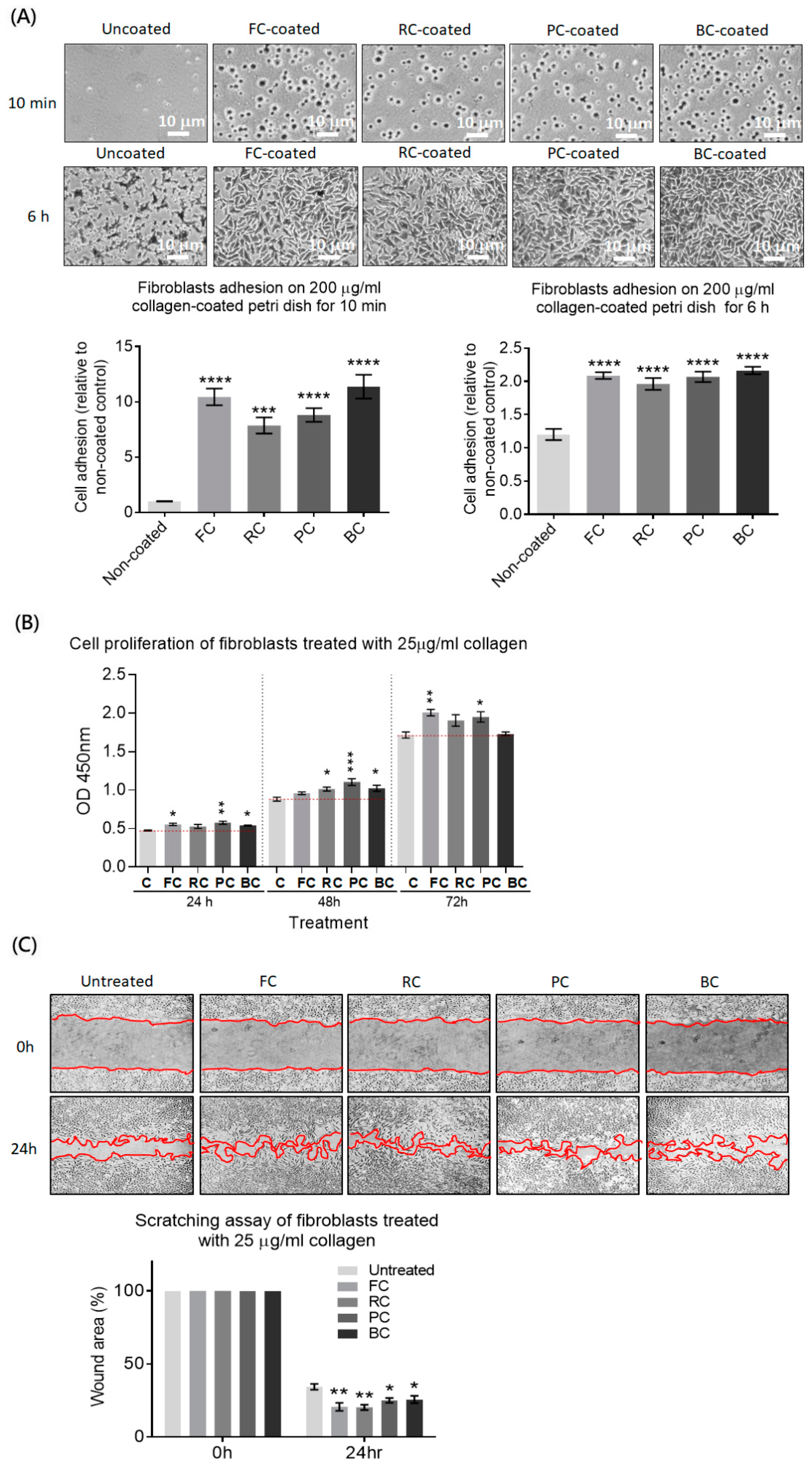 Molecules 29 00402 g002