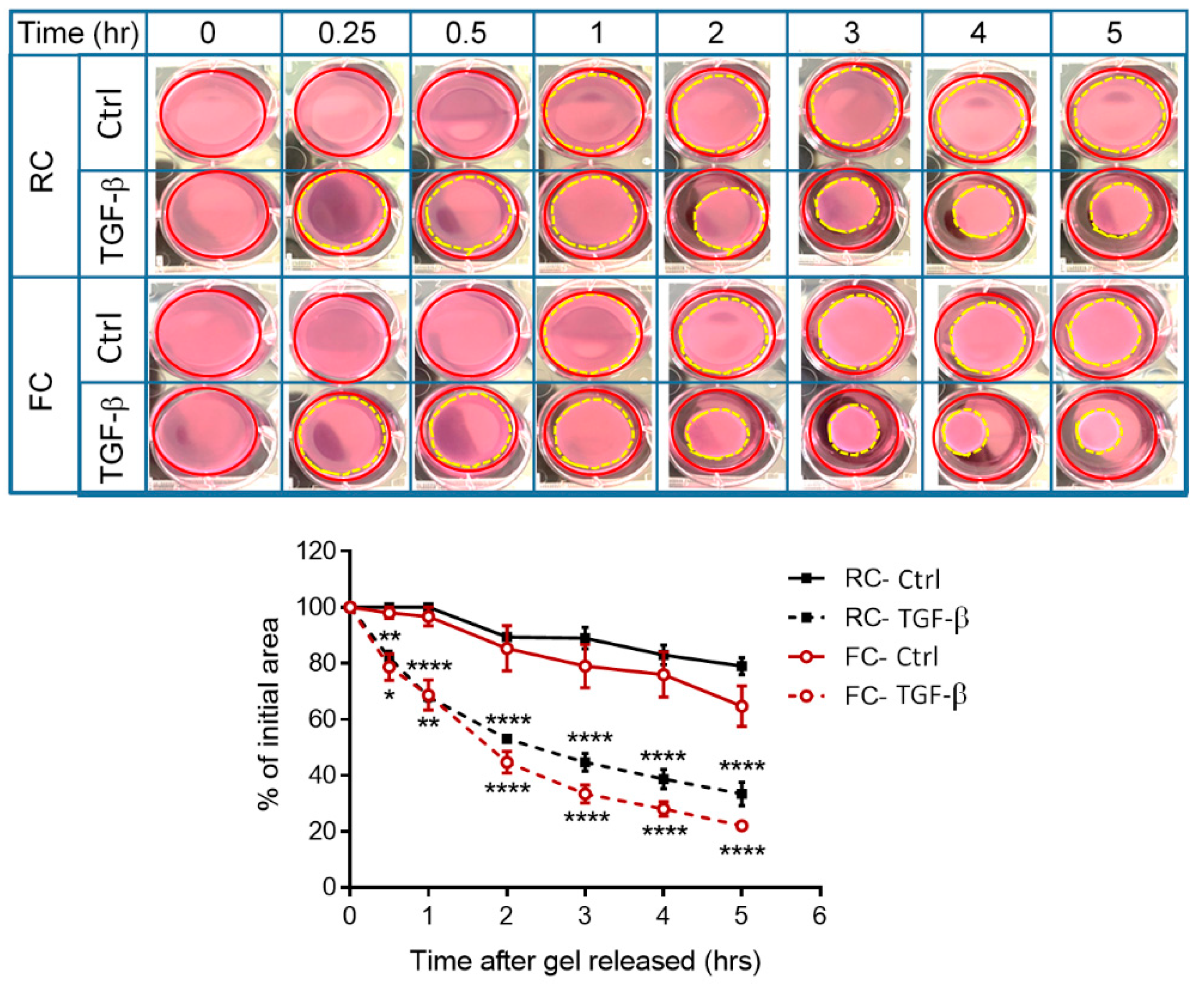 Molecules 29 00402 g004