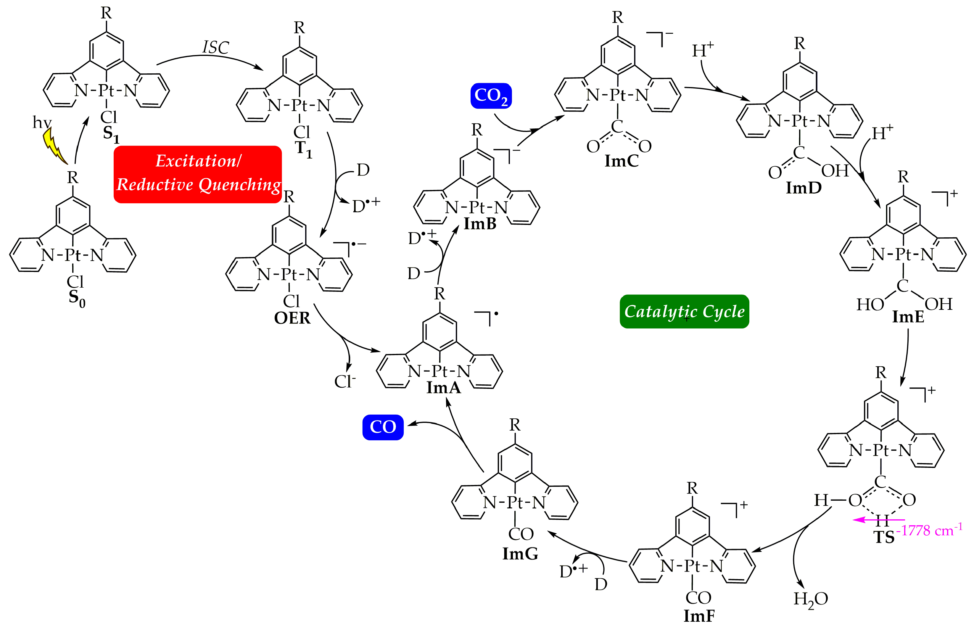 Molecules 29 00403 g001