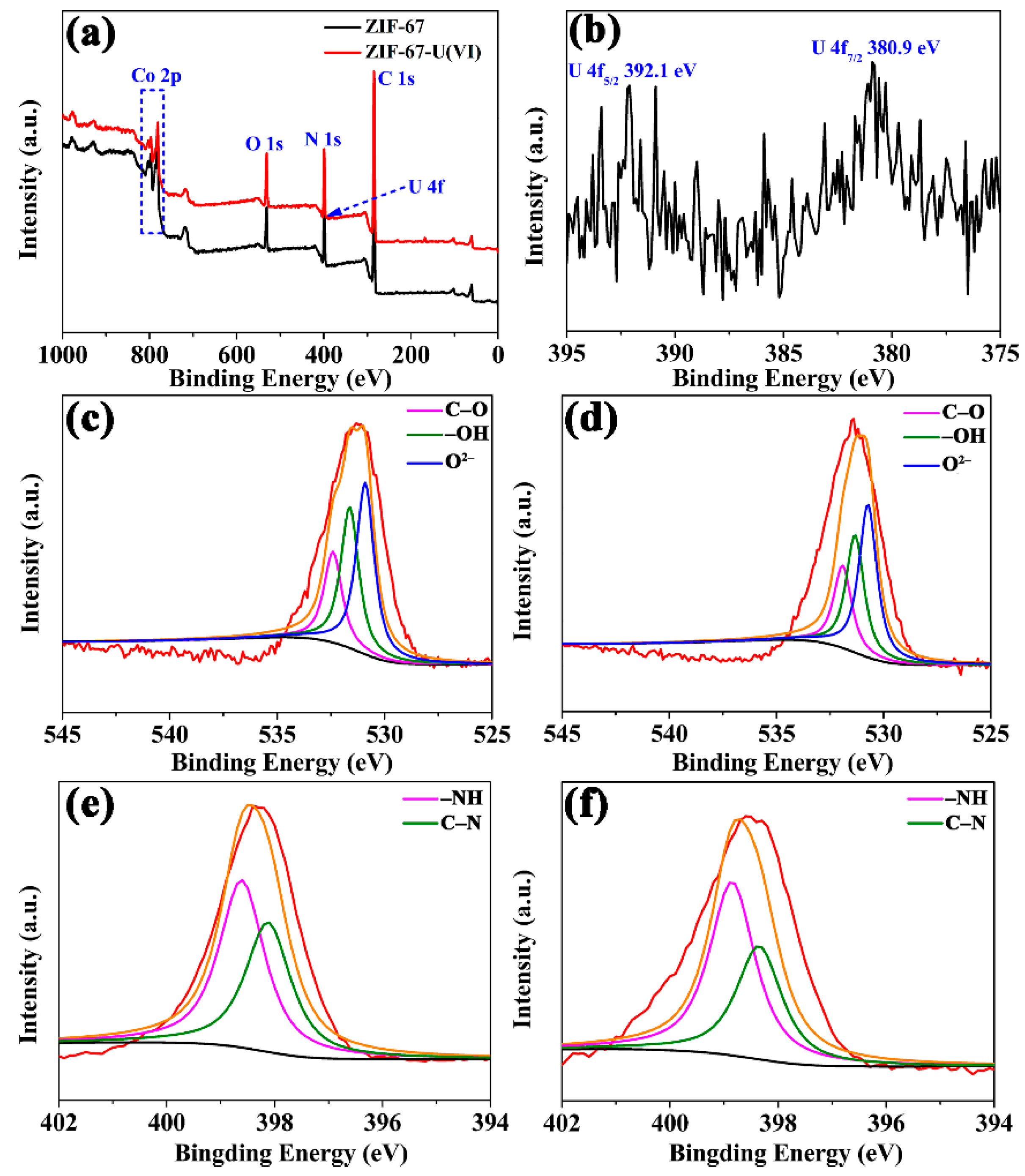 Molecules 29 00408 g008