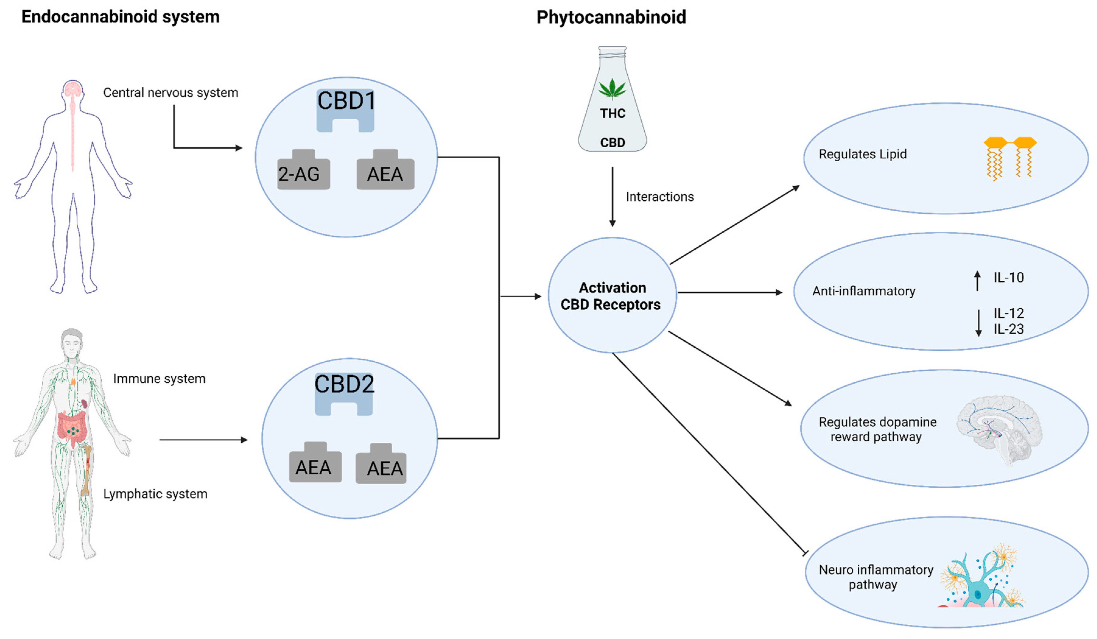 Molecules 29 00410 g002