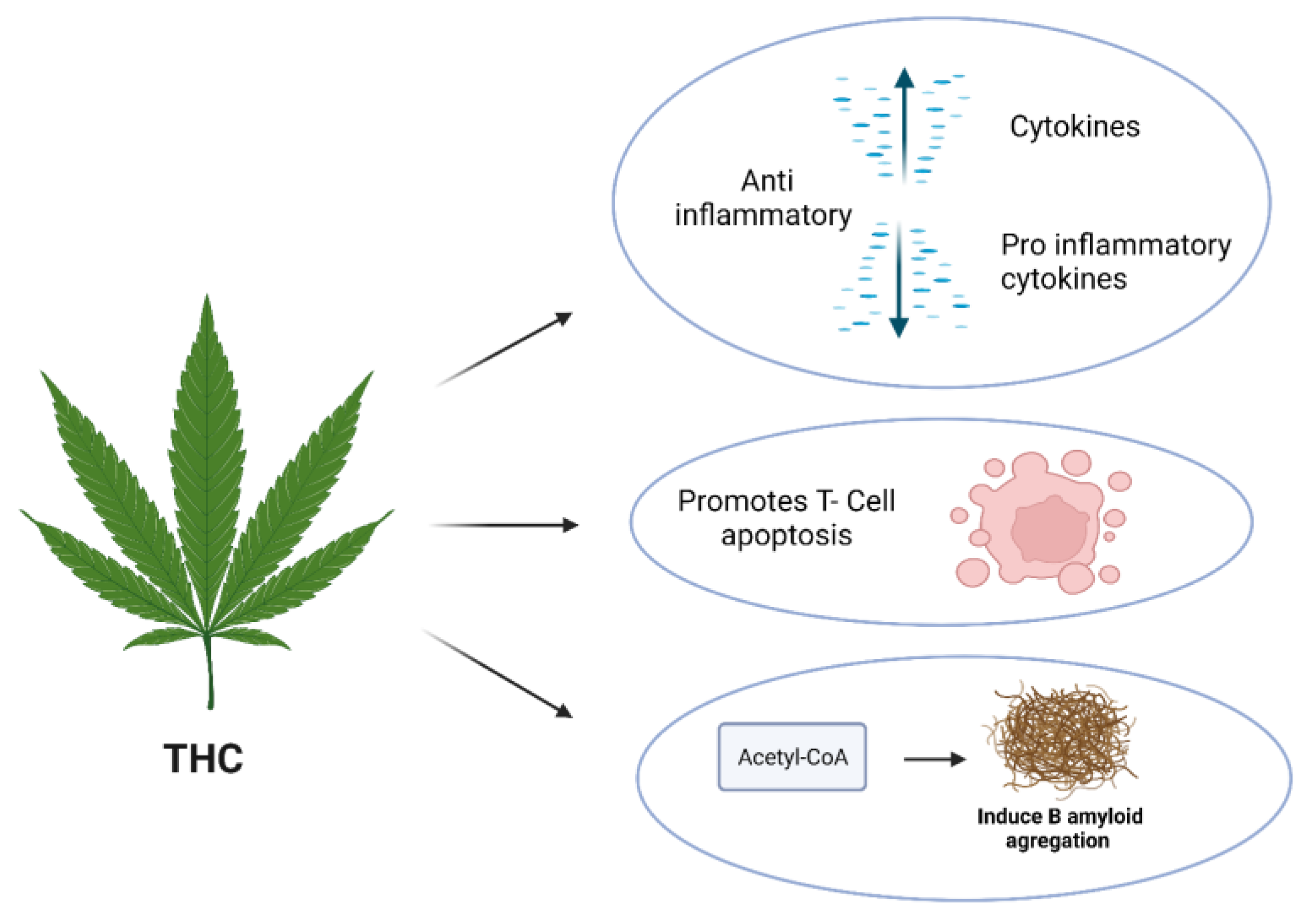 Molecules 29 00410 g004
