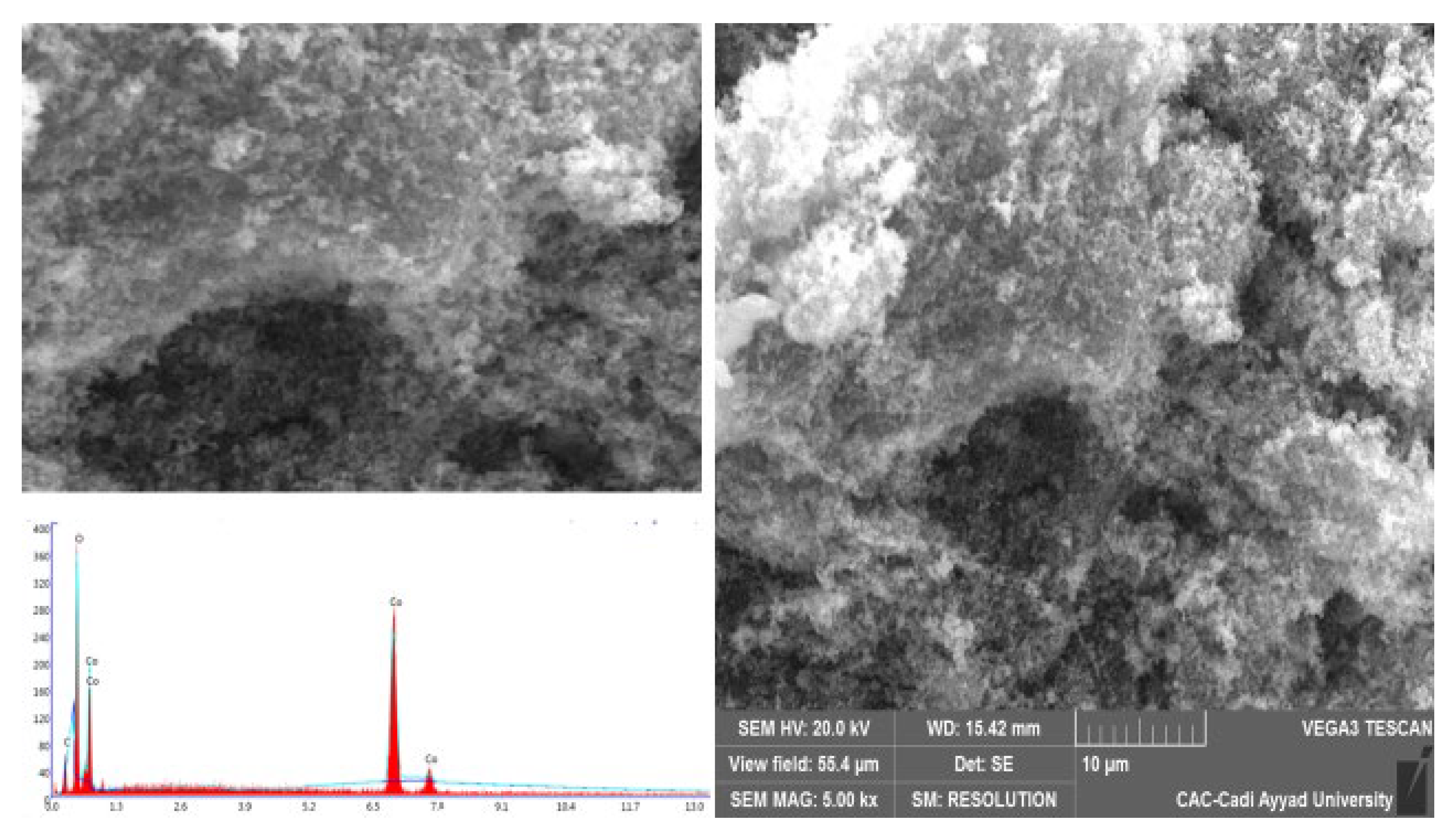 Molecules 29 00412 g003
