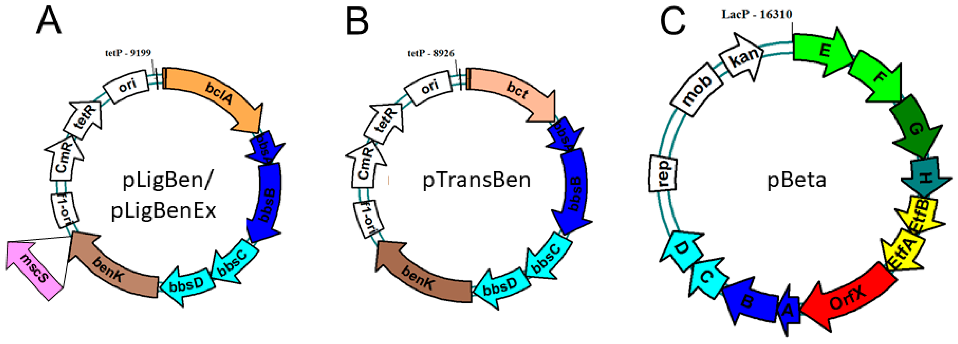 Molecules 29 00415 g004
