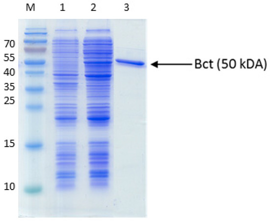 Molecules 29 00415 g0a2