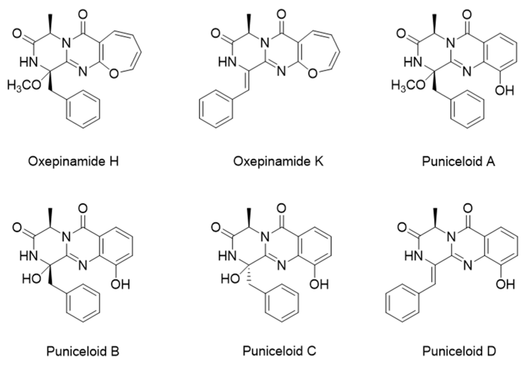 Molecules 29 00416 g001