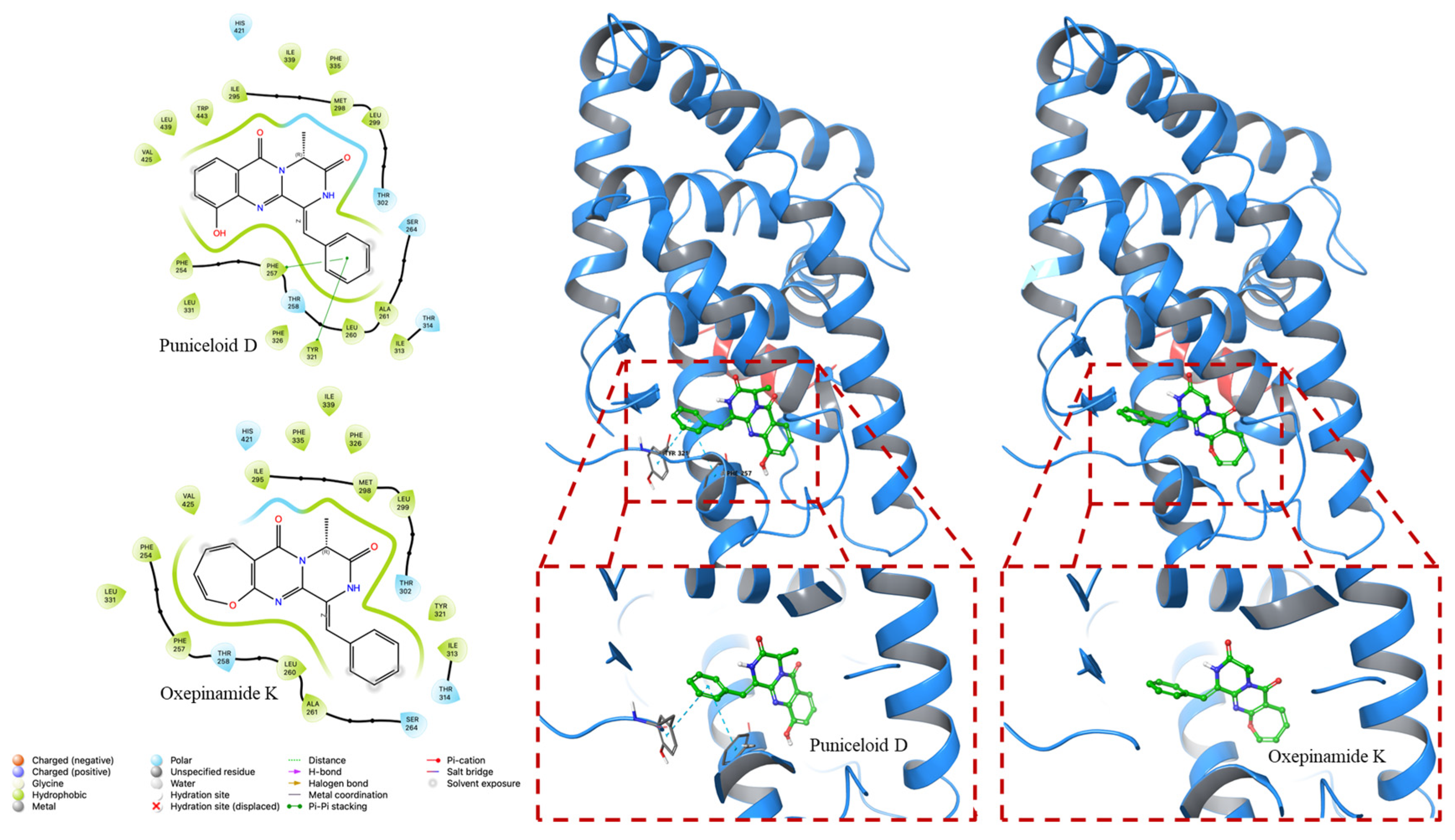 Molecules 29 00416 g004