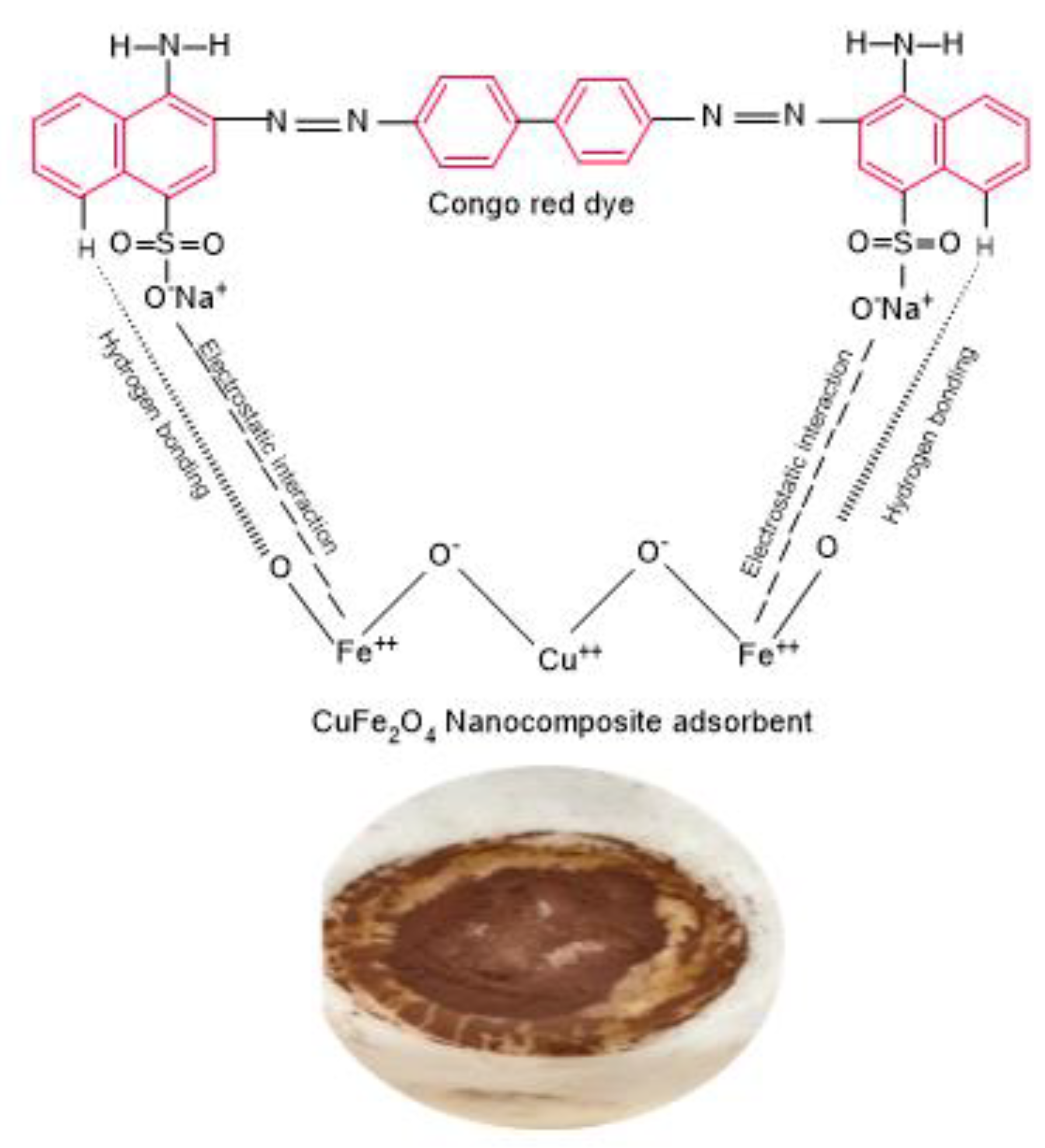 Molecules 29 00418 g007