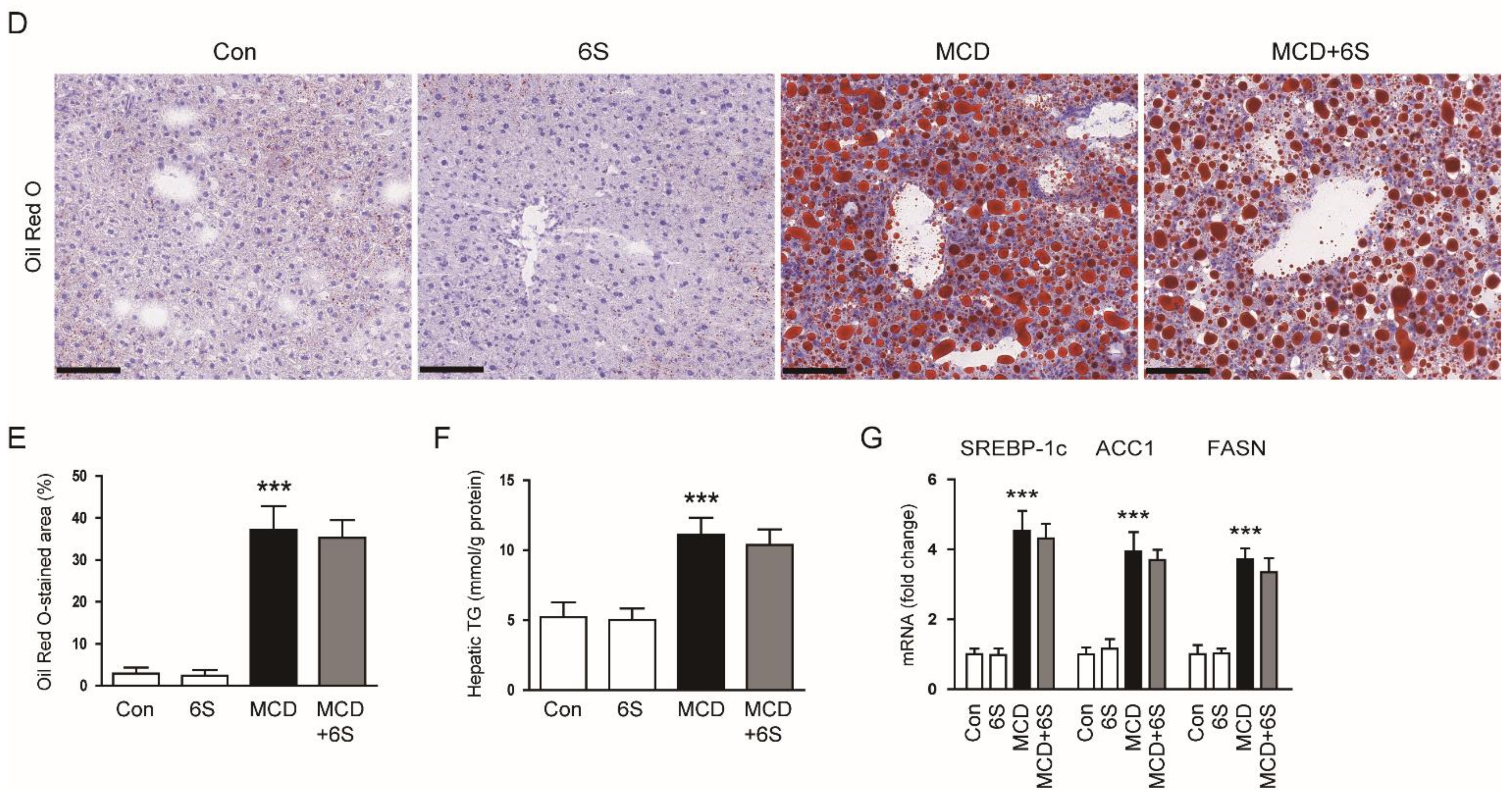Molecules 29 00419 g001b