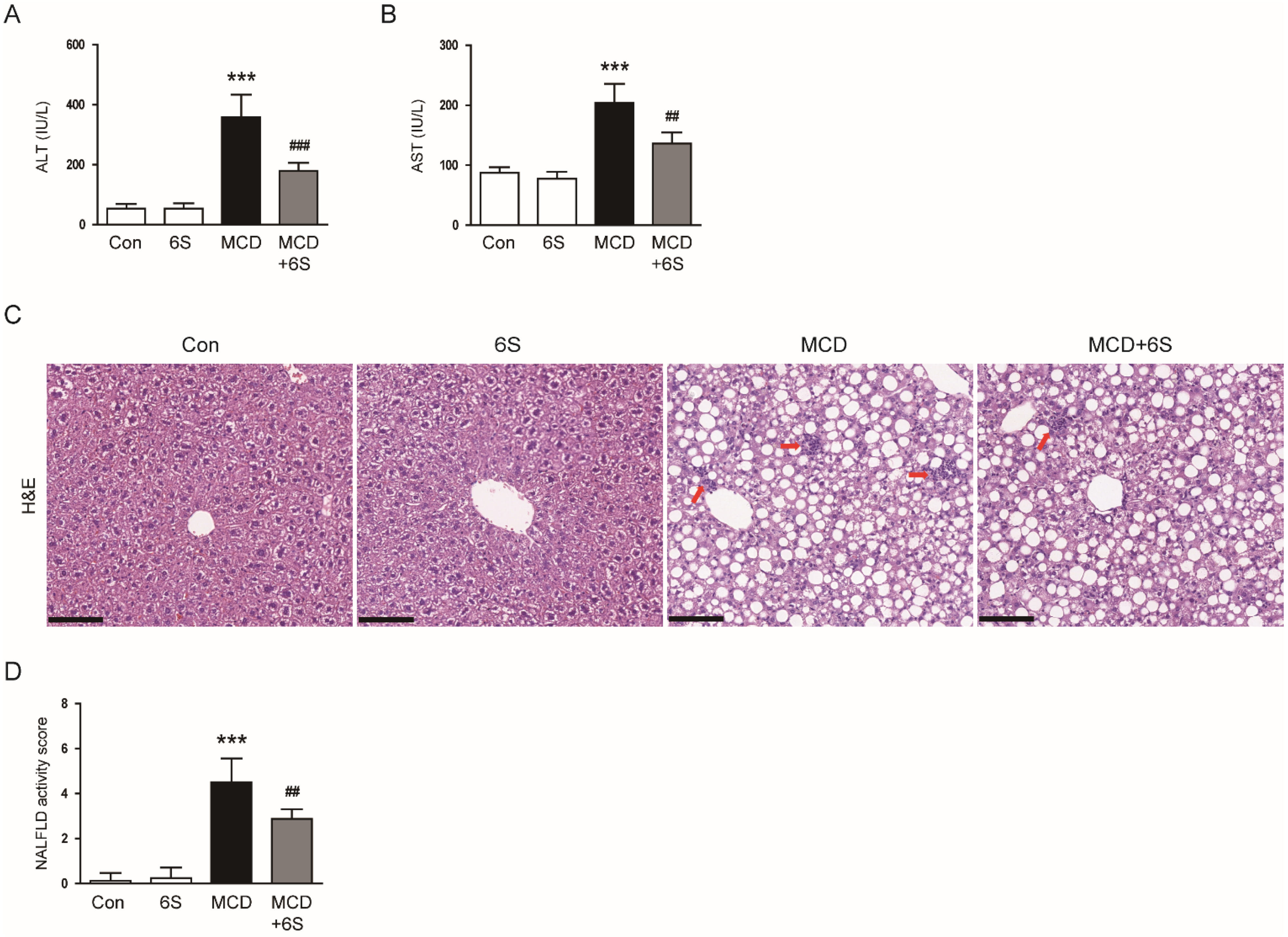 Molecules 29 00419 g002