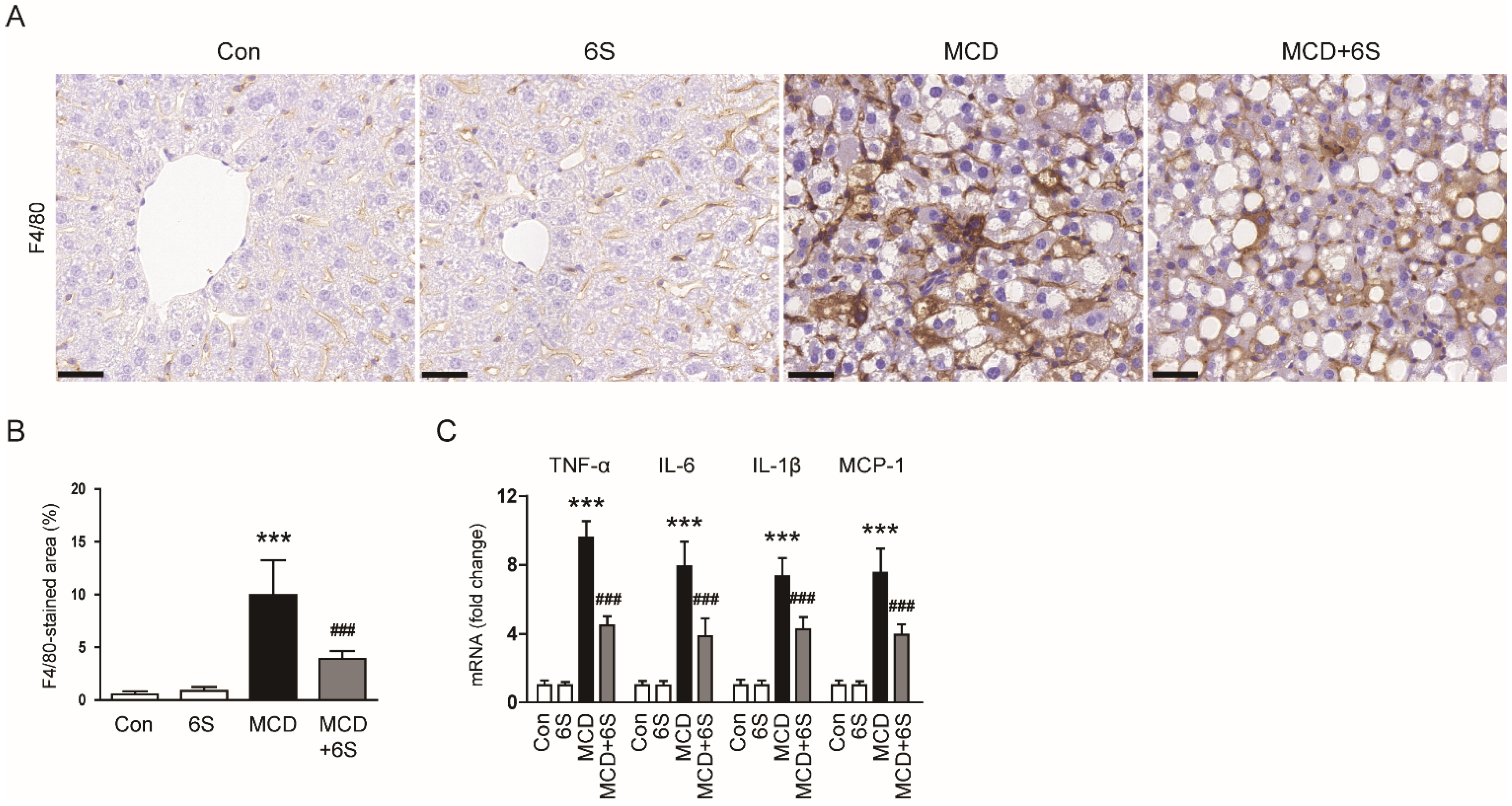Molecules 29 00419 g003