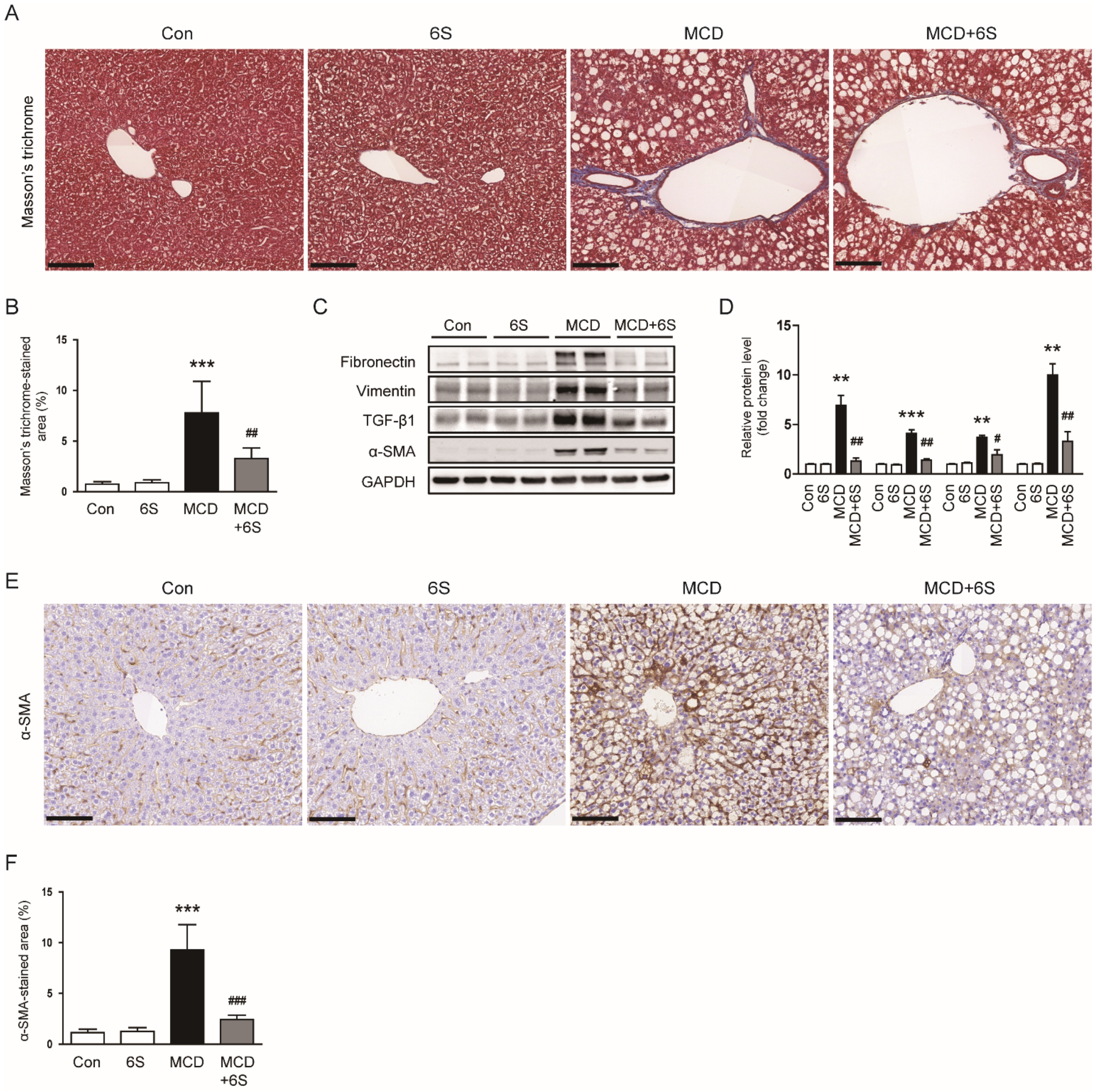 Molecules 29 00419 g004
