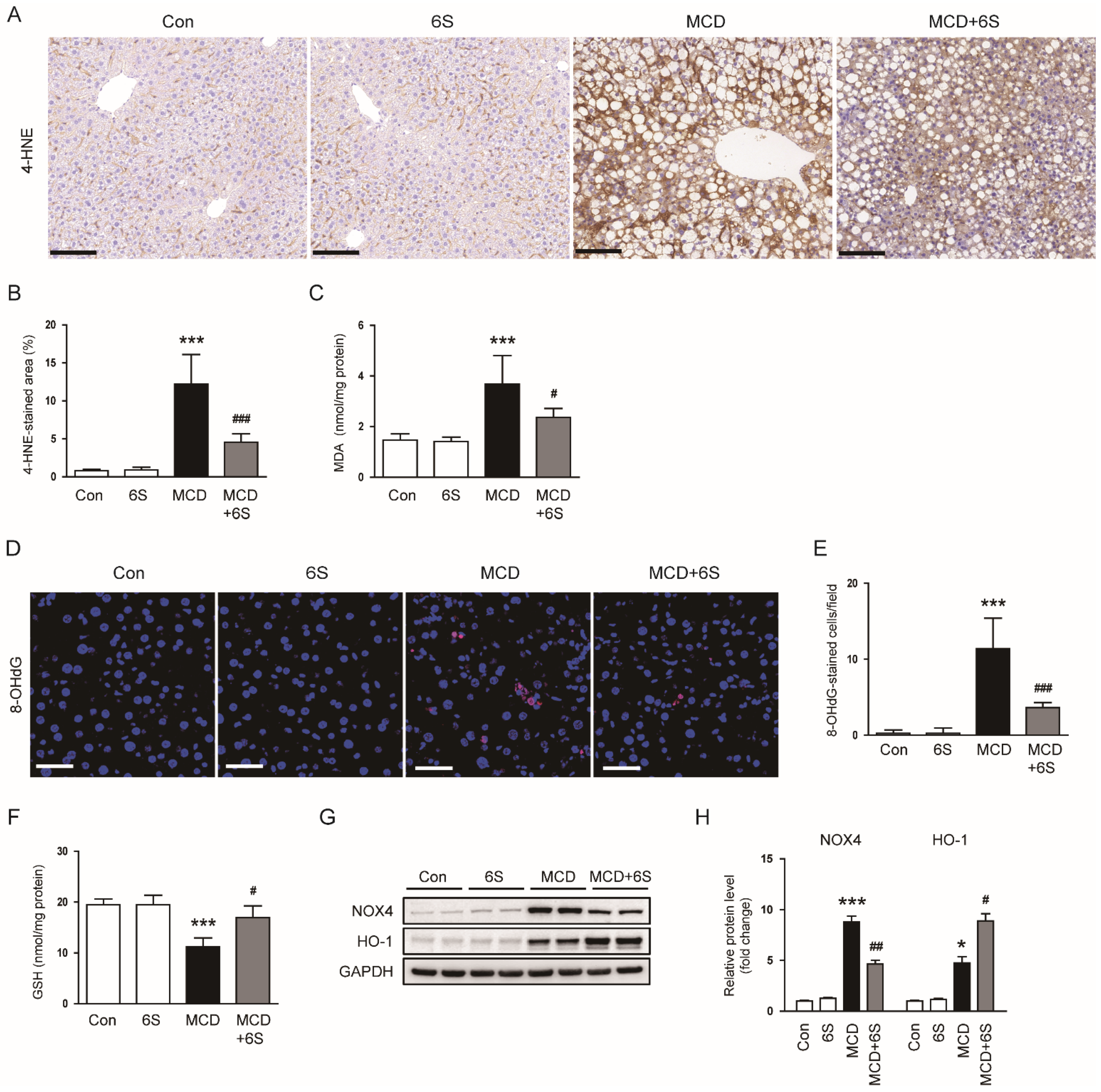 Molecules 29 00419 g005