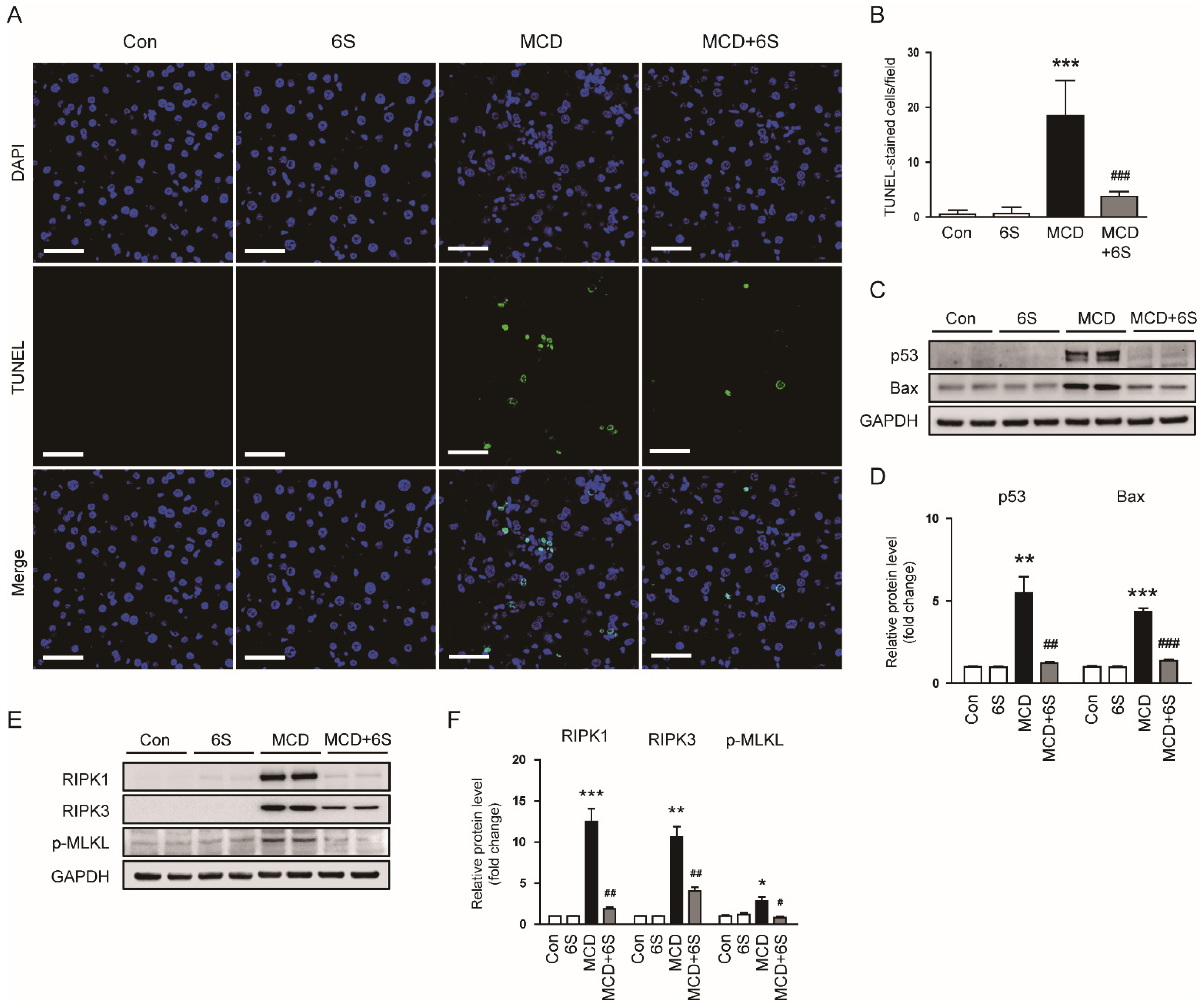 Molecules 29 00419 g006