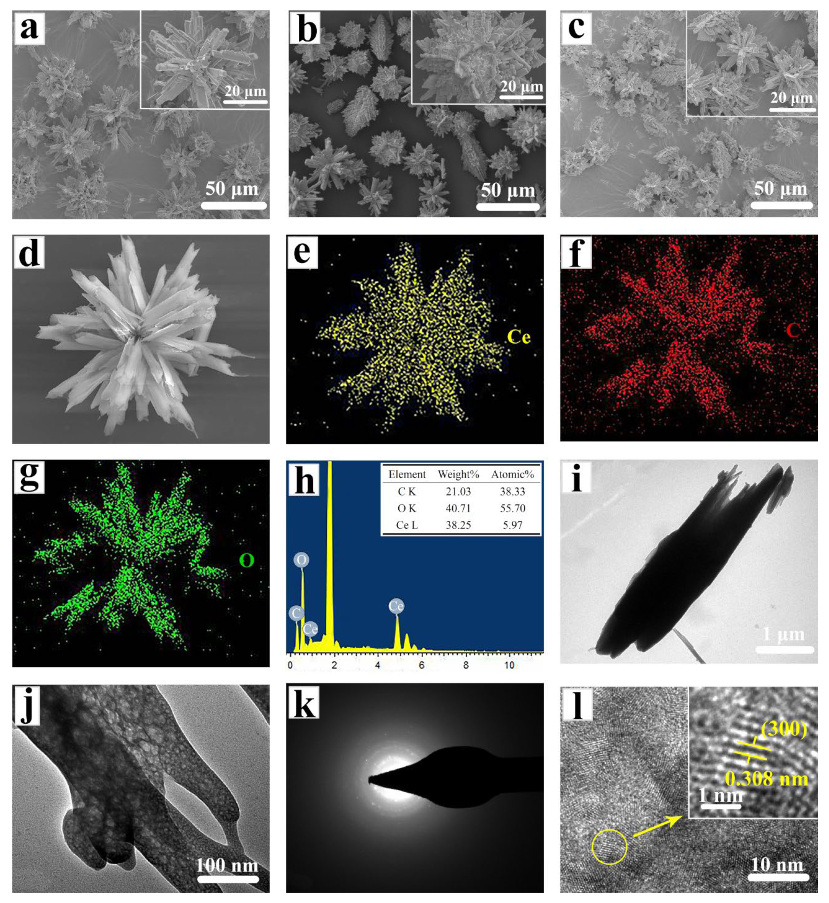 Molecules 29 00420 g002