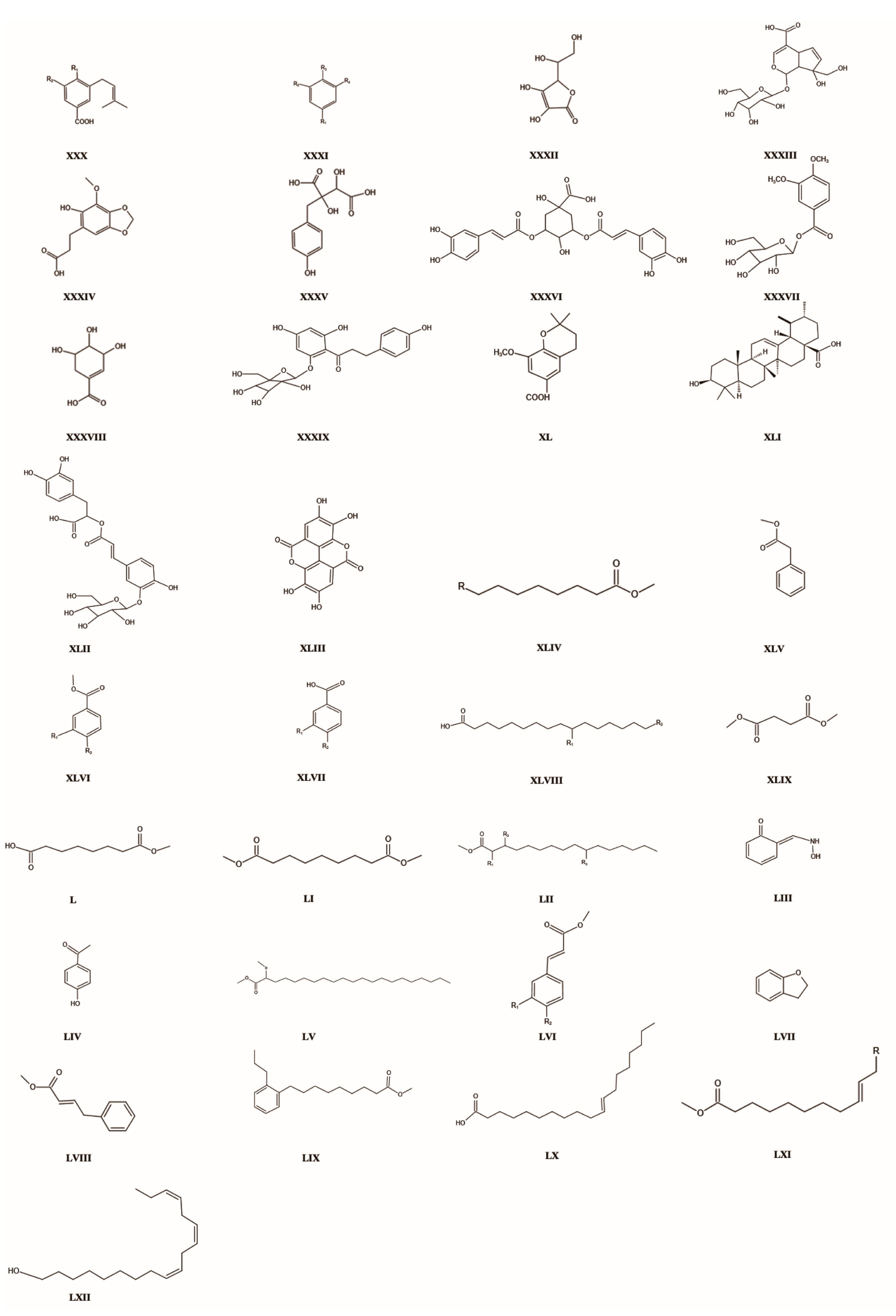 Molecules 29 00421 g004