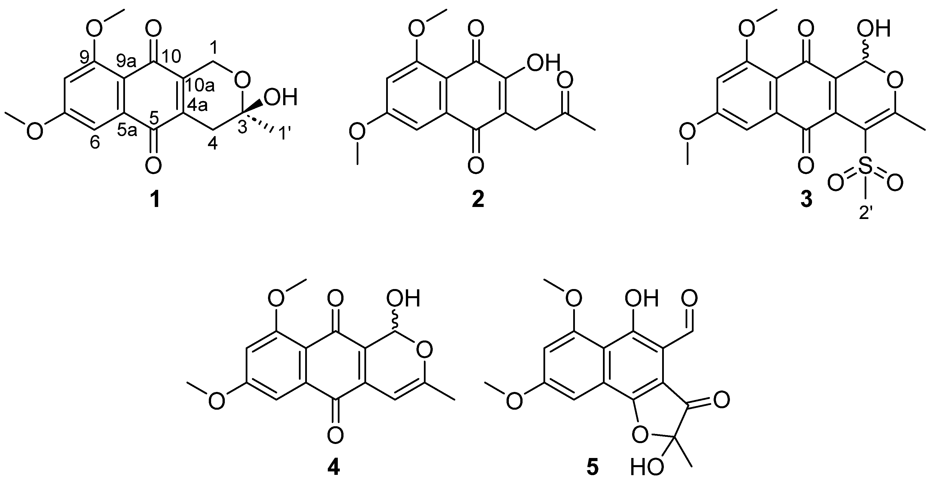 Molecules 29 00425 g001