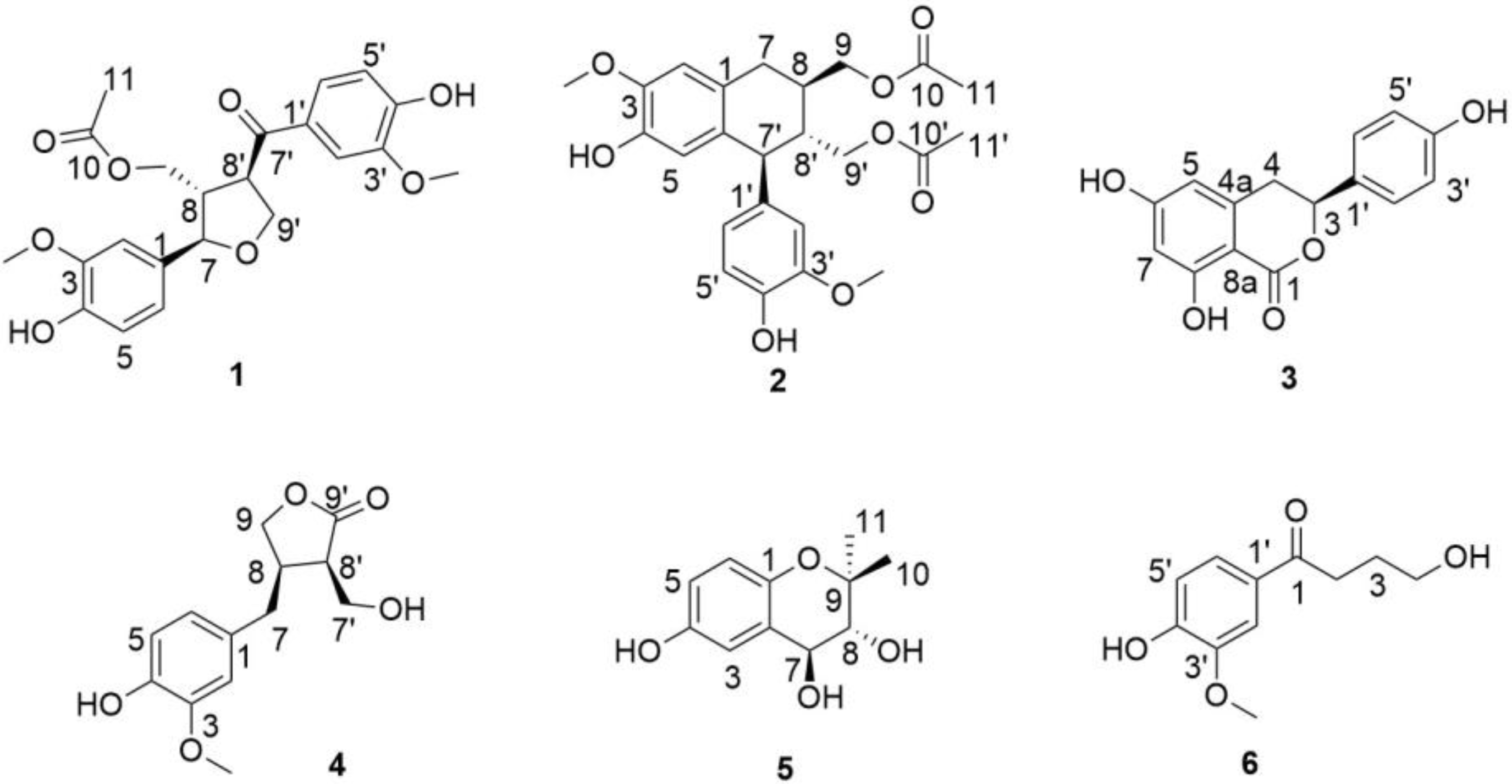 Molecules 29 00432 g004 Molecules 29 00432 g004