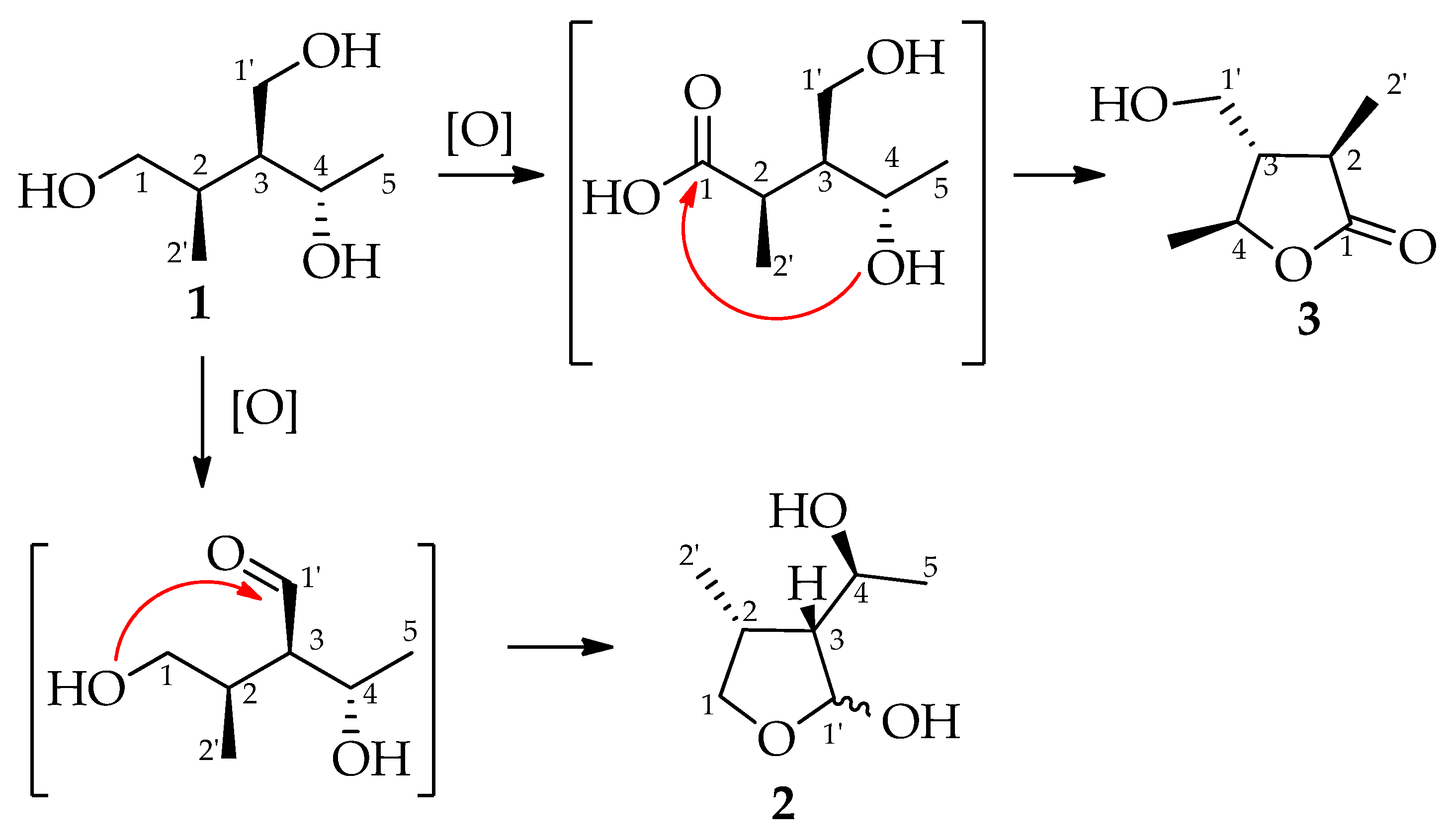 Molecules 29 00438 g005