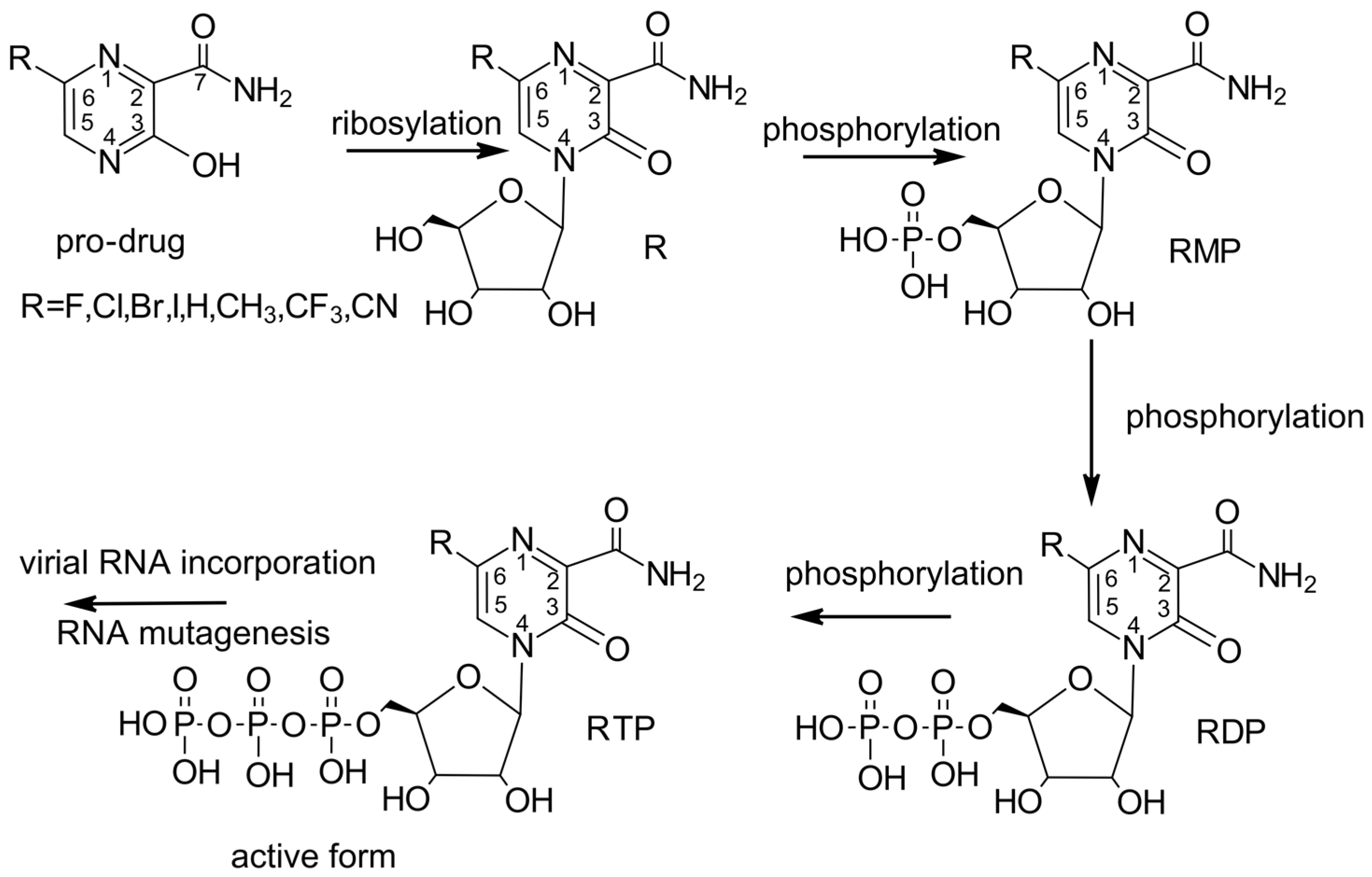 Molecules 29 00441 g002