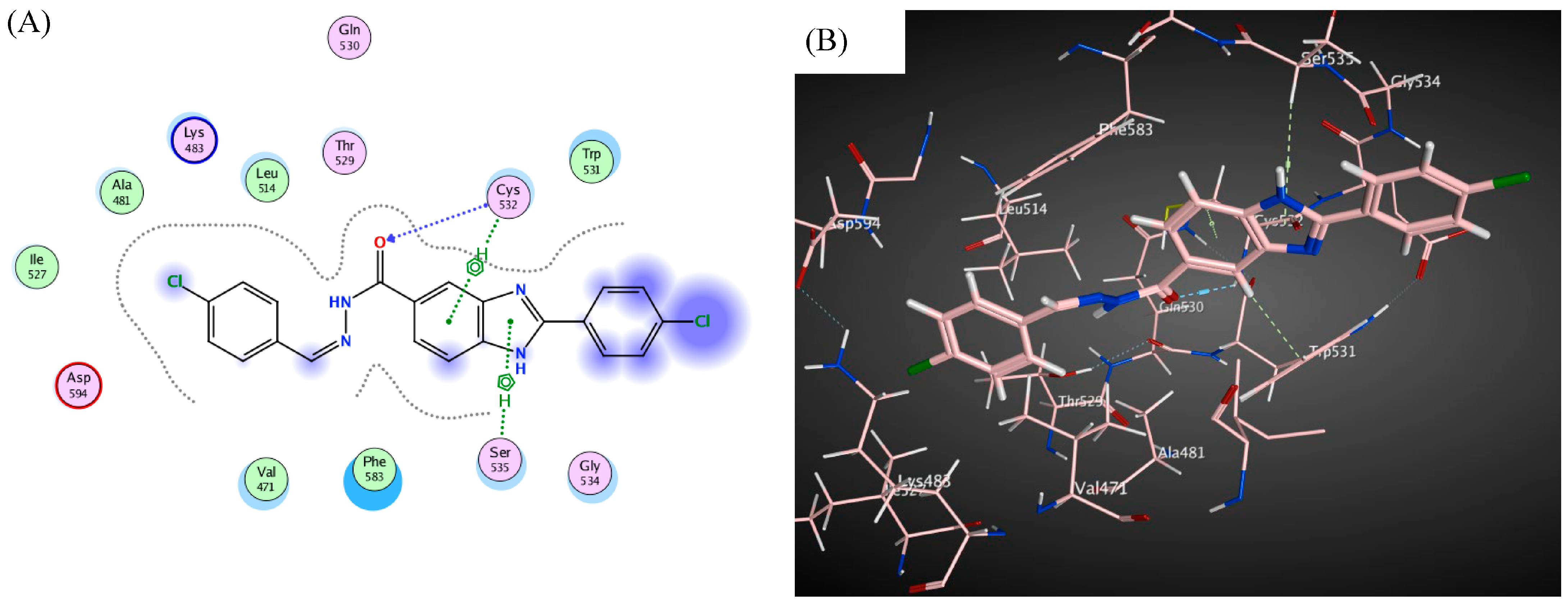 Molecules 29 00446 g011