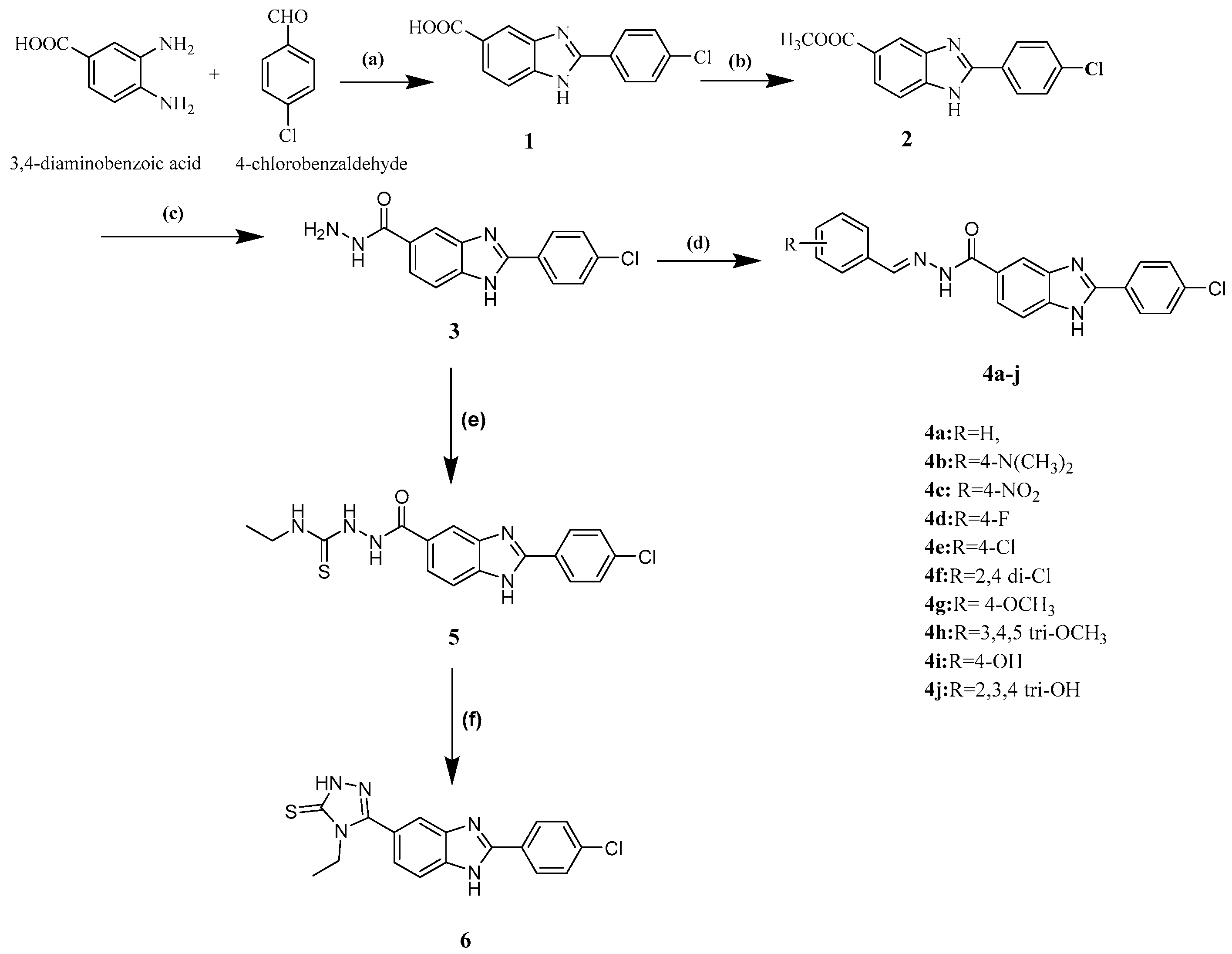 Molecules 29 00446 sch001